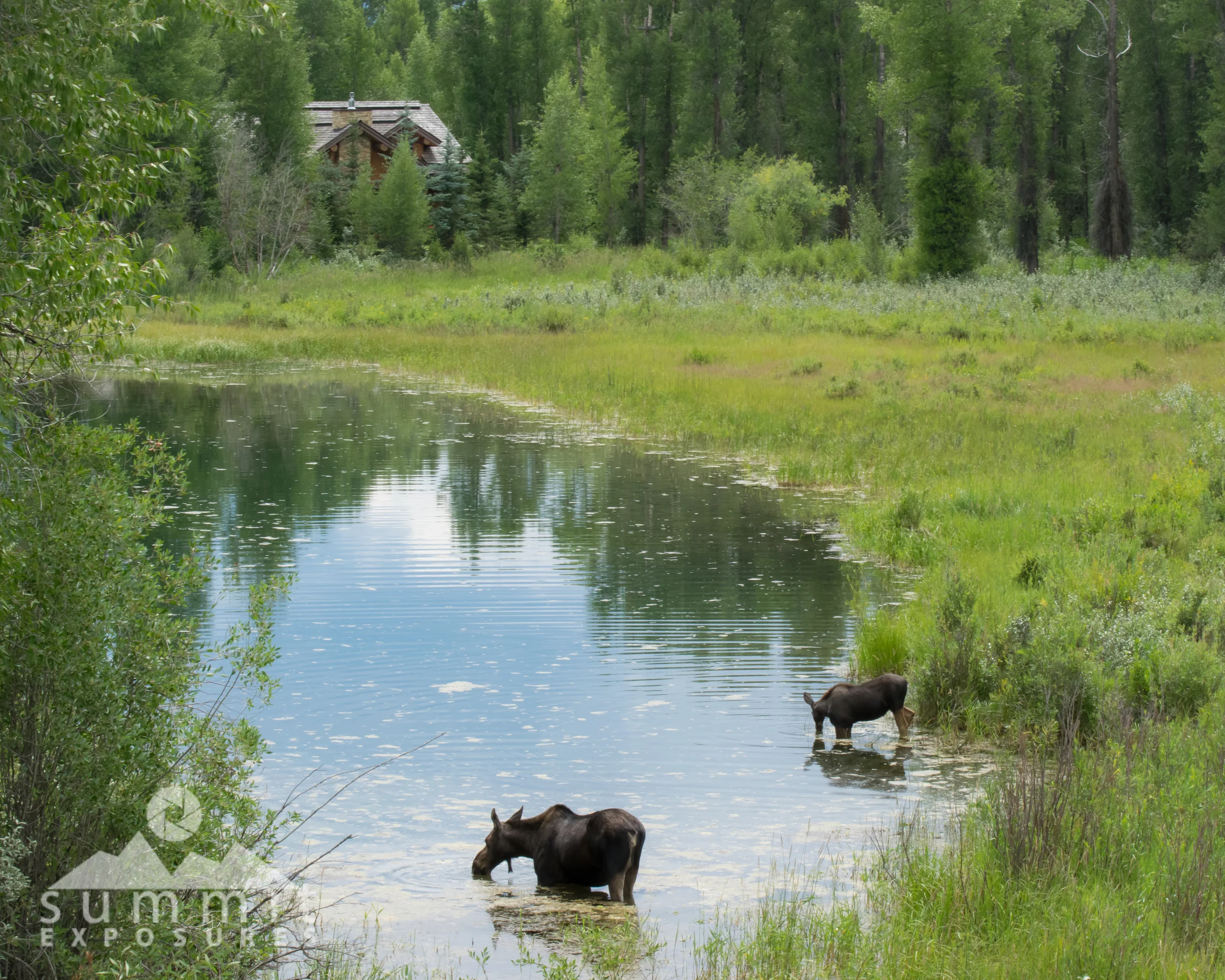 DSC_1400.jpg