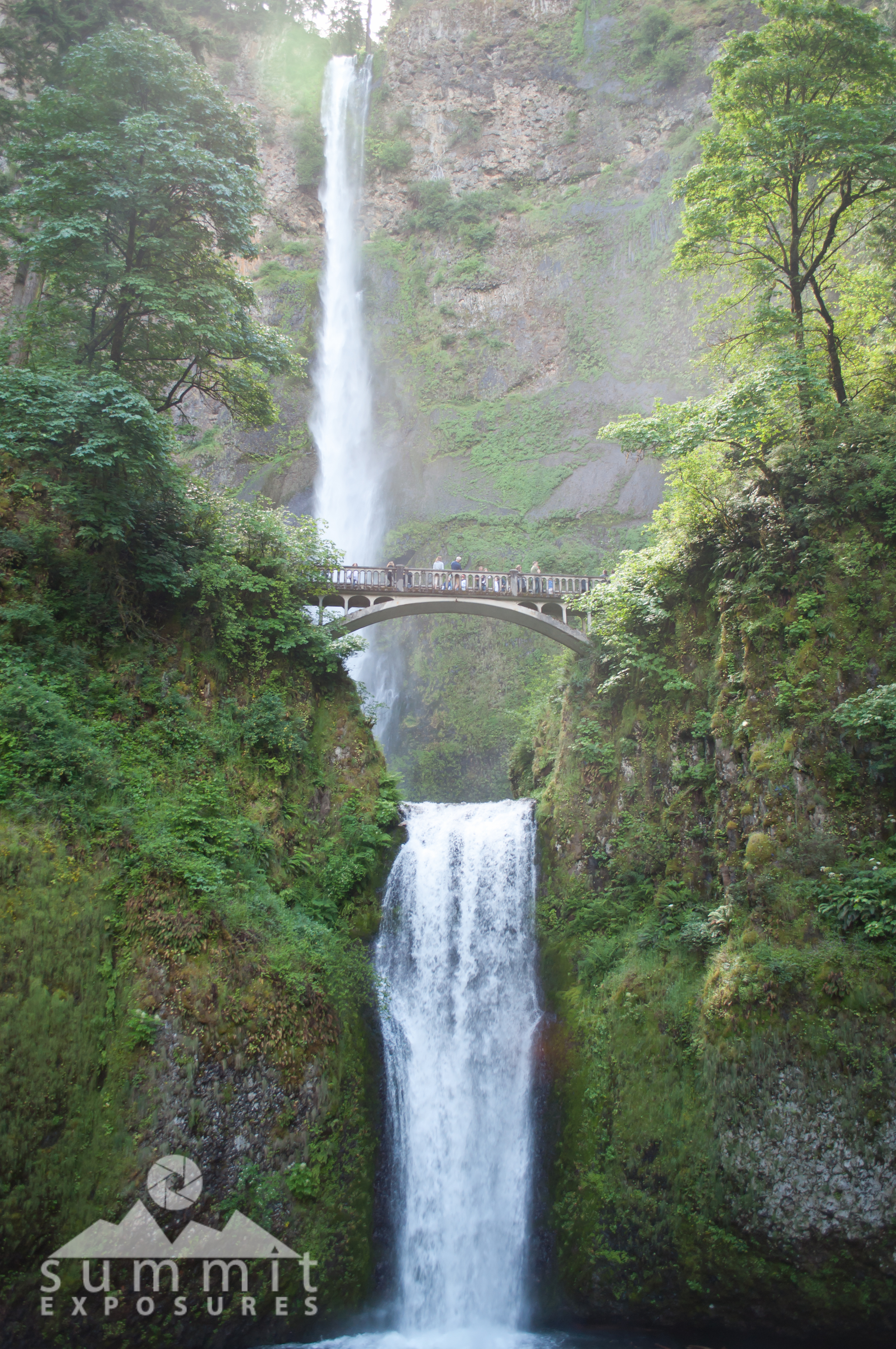 DSC_3319.jpg