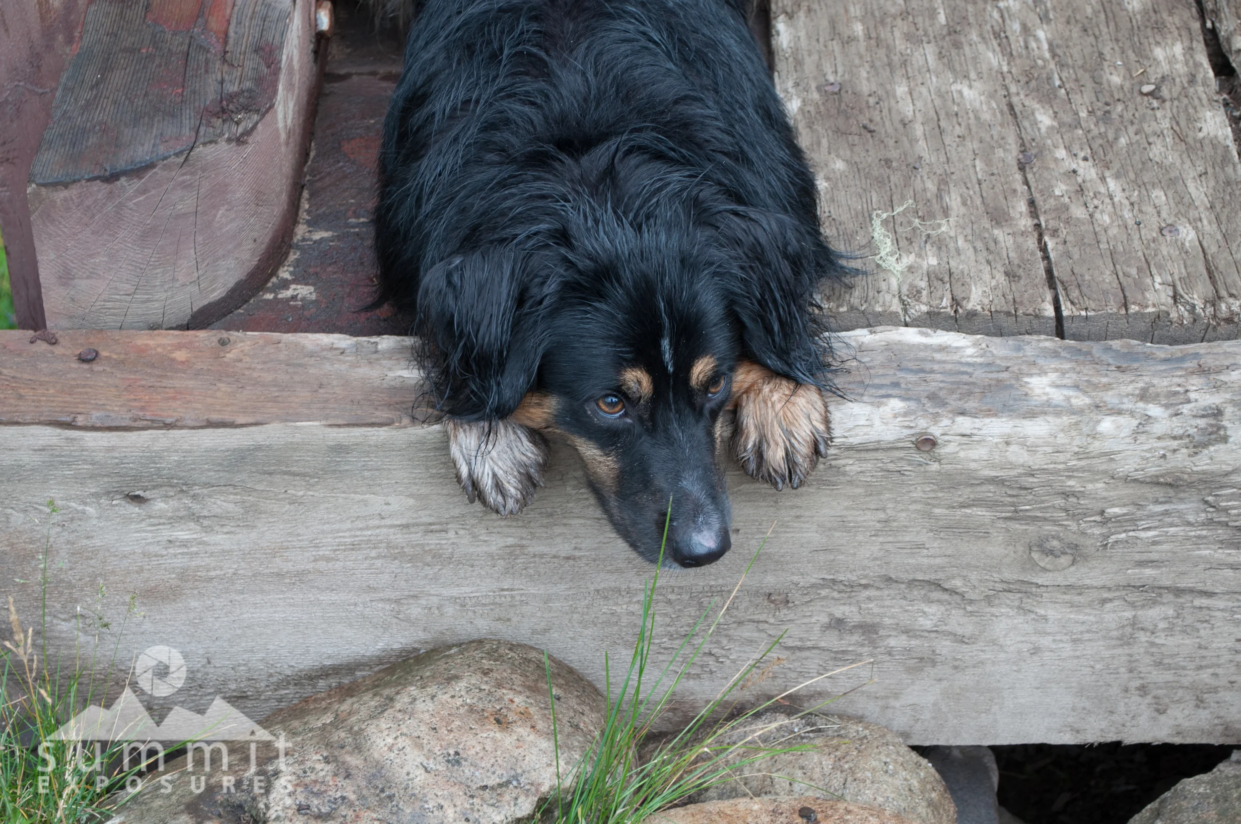 DSC_6483.jpg
