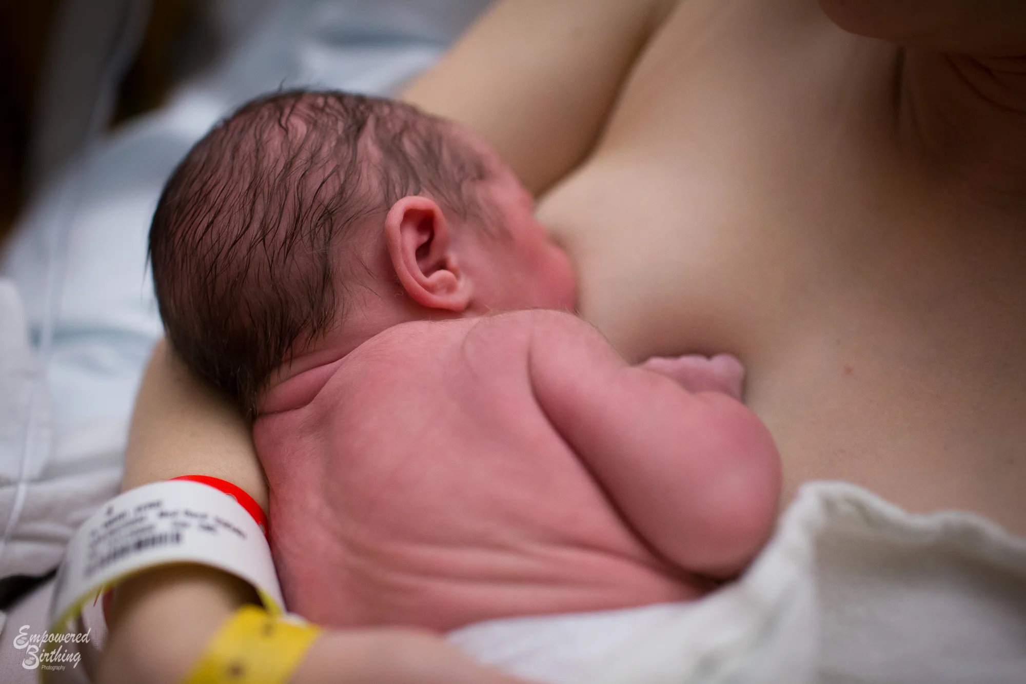 new little baby rolls: austin baby photographer
