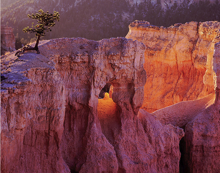Temple of Light