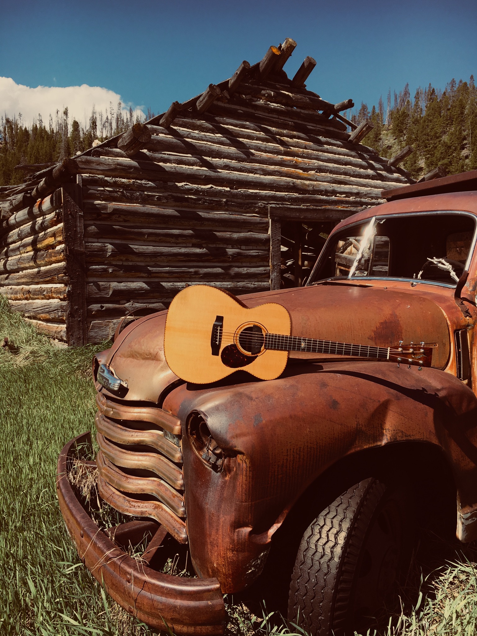 Guitar_Trucke.jpeg