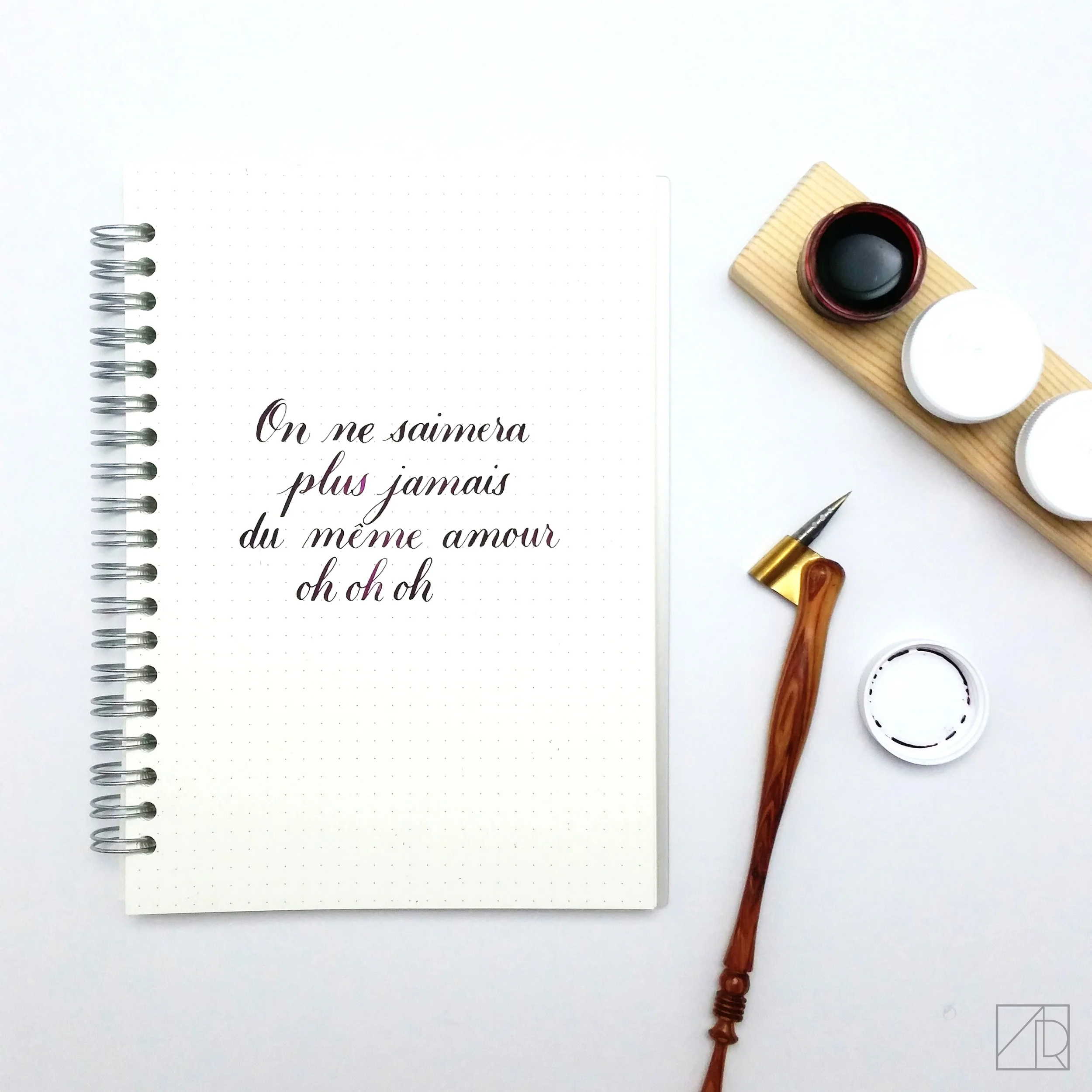On Ne S'aimera Plus Jamais by Larusso