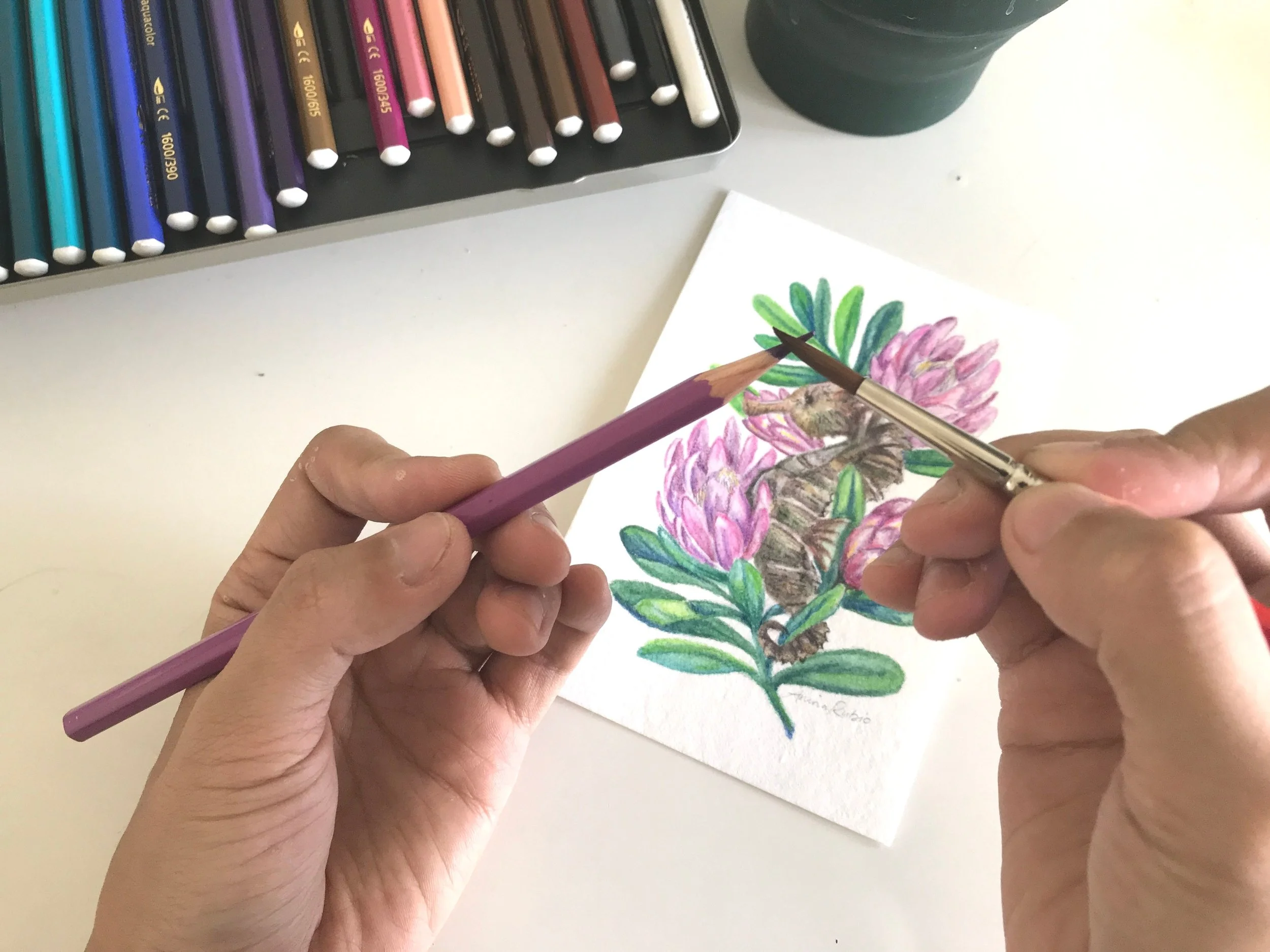 BRUSH TO PENCIL METHOD Imagine your pencil lead as the watercolor paint. You just brush off the tip of the lead to get the paint. This helps you cut down on wastage and gives you more control on the amount of pigment you want to use. I do this when I only need to put additional layers.