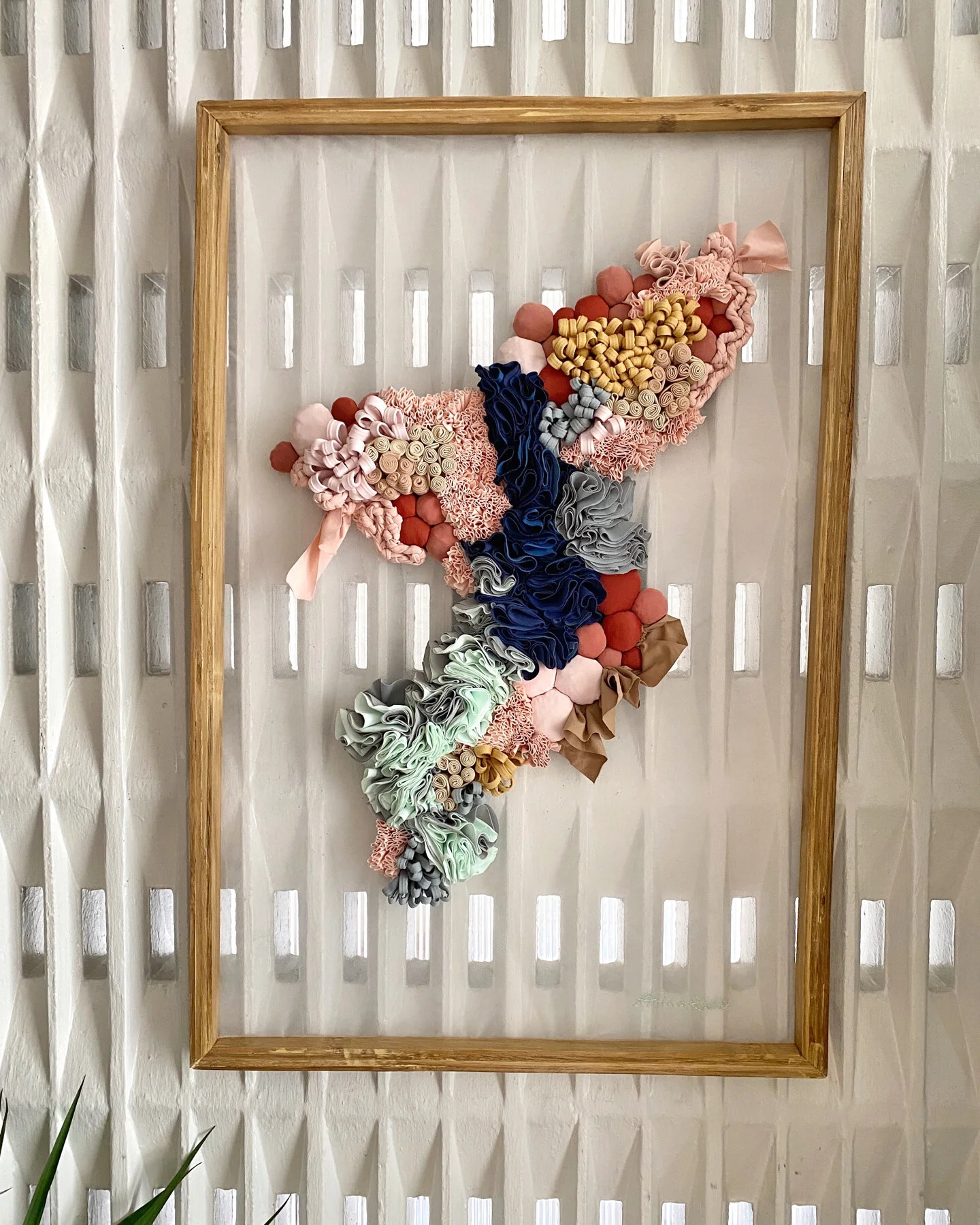 Anina-Caja-Donna 2.JPG