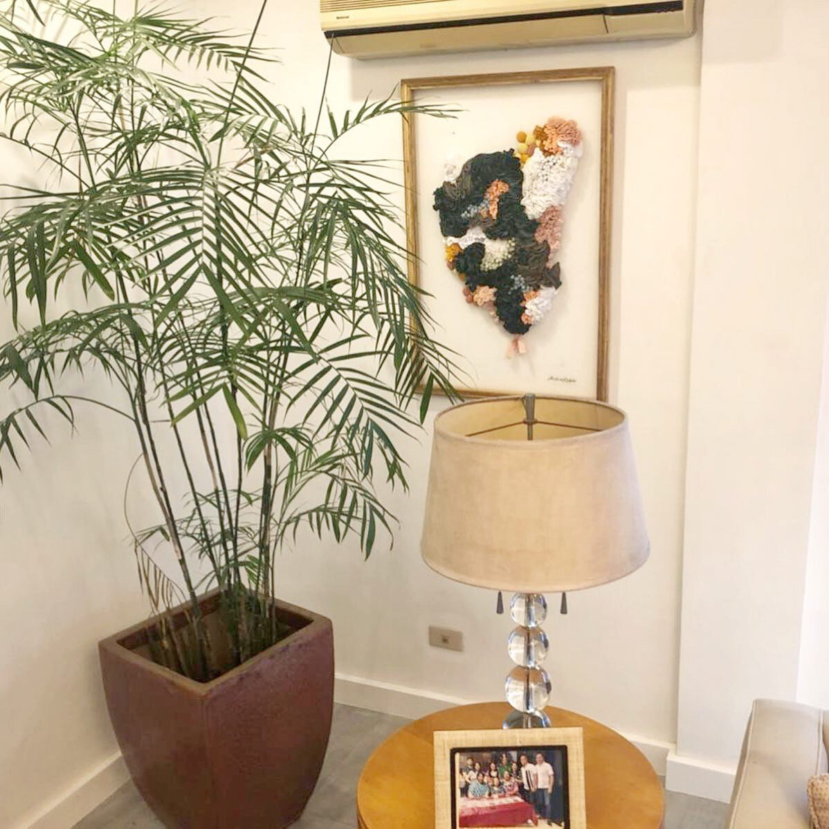 Anina- Caja - Choee.JPG