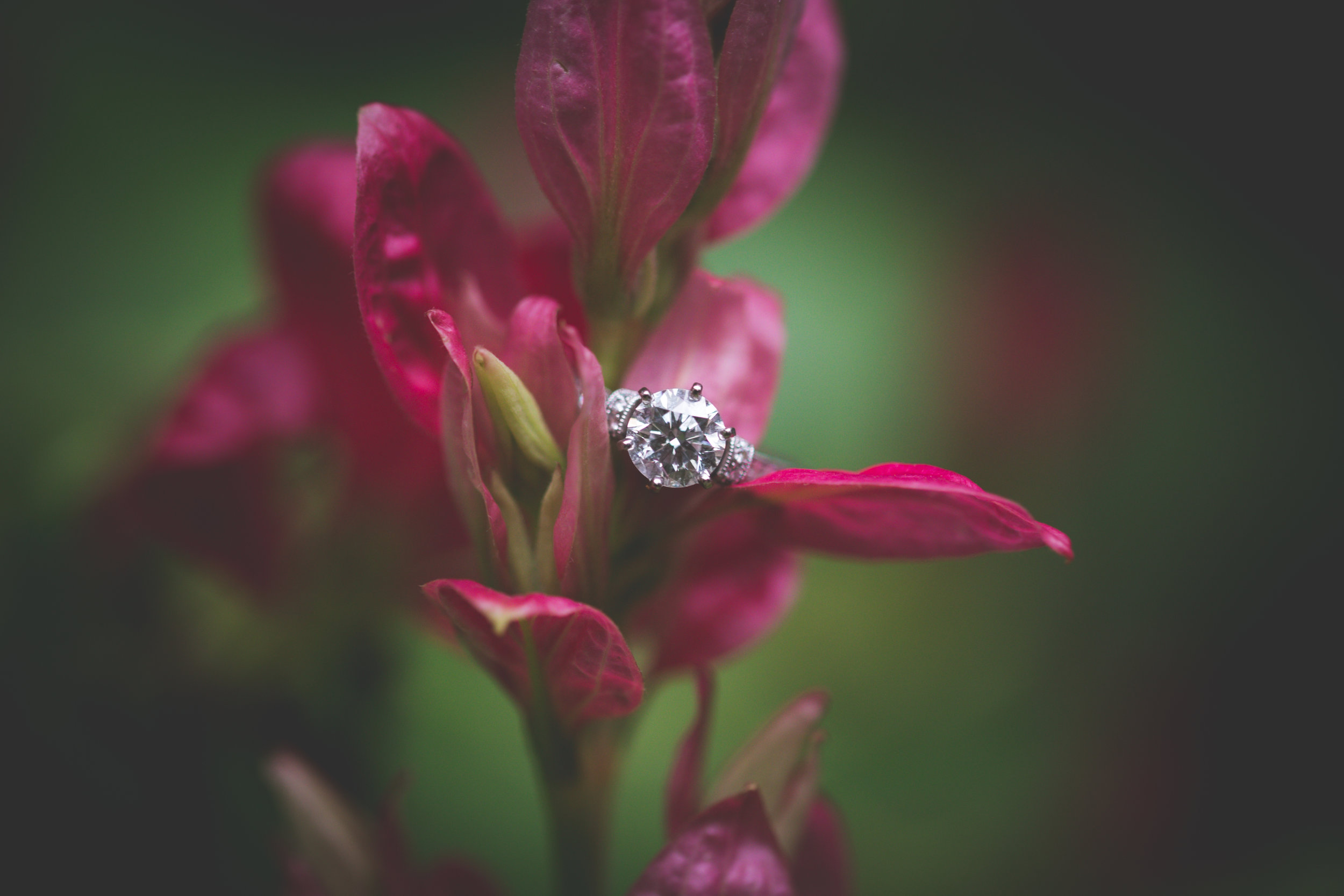 Umm... THAT RING!!! <3 