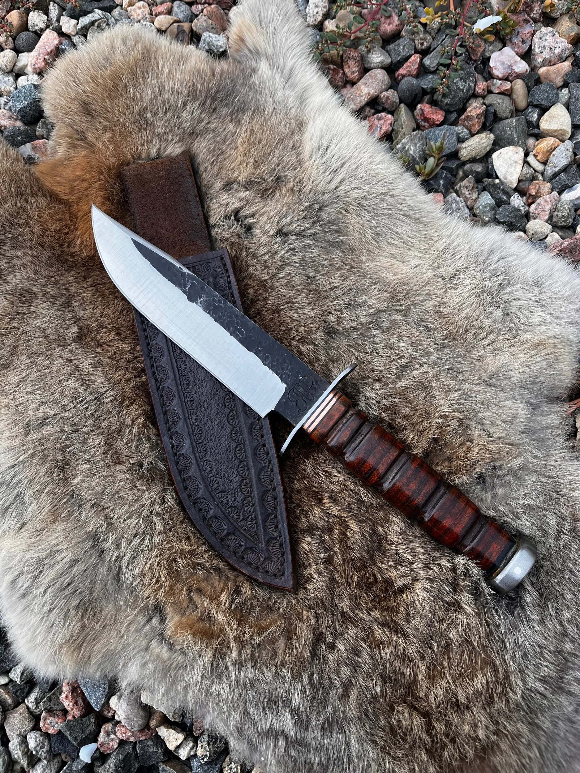 80BA8F59-0A32-4F90-88E4-10809C59DD48