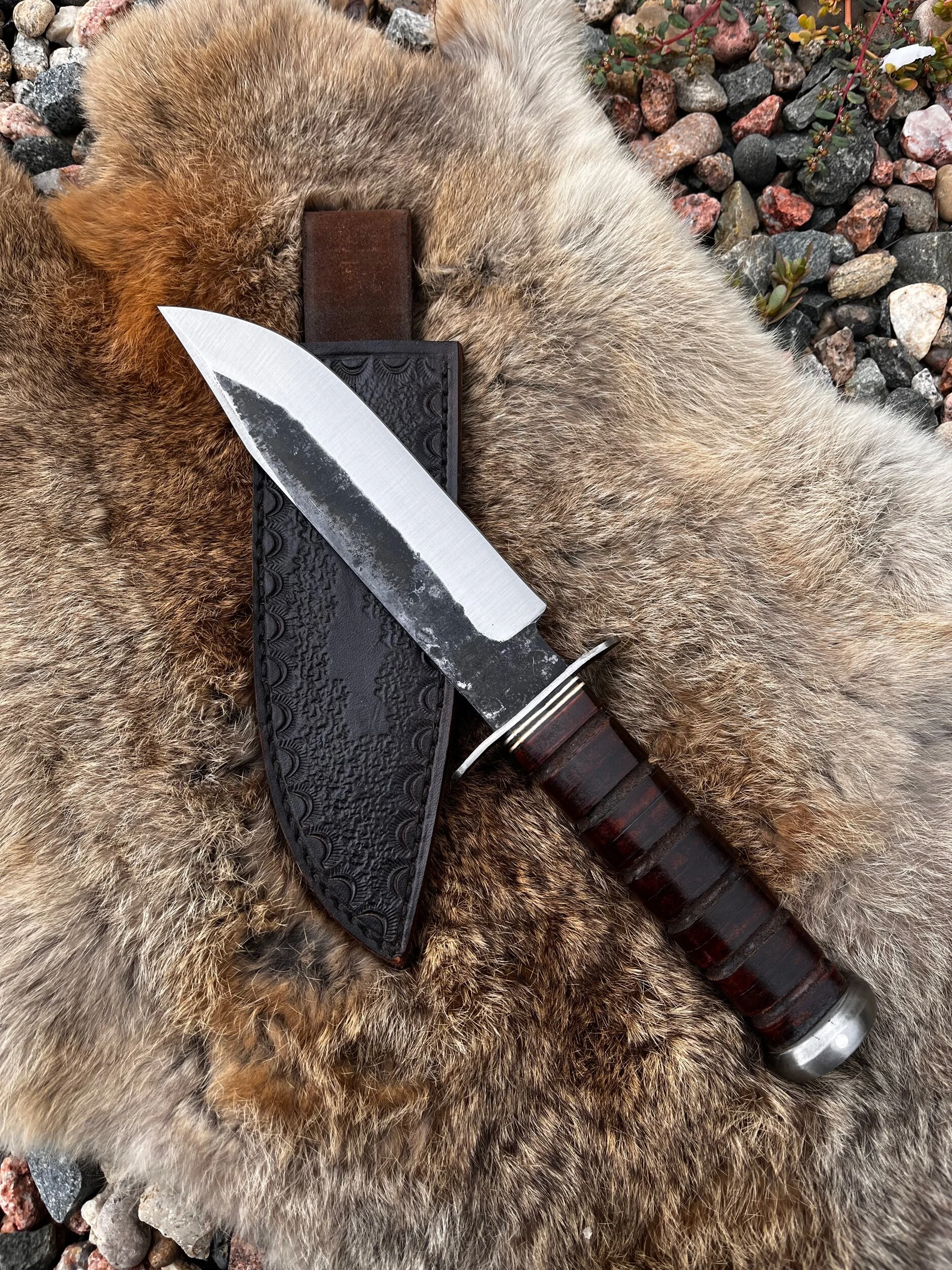 74246569-2198-4383-B2CD-30A7E2CD3106