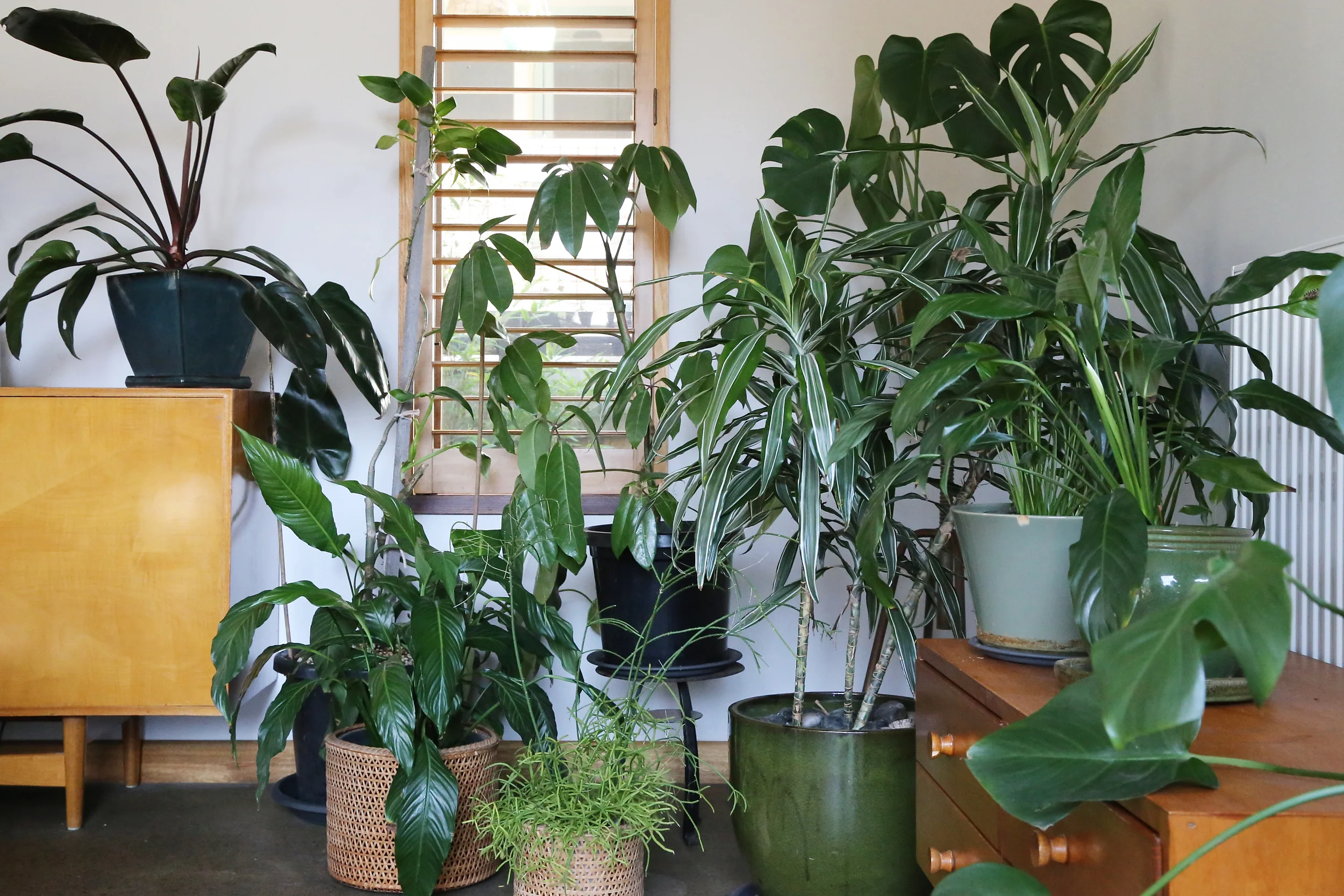 eco interiors, sustainable interior design, sustainable interiors