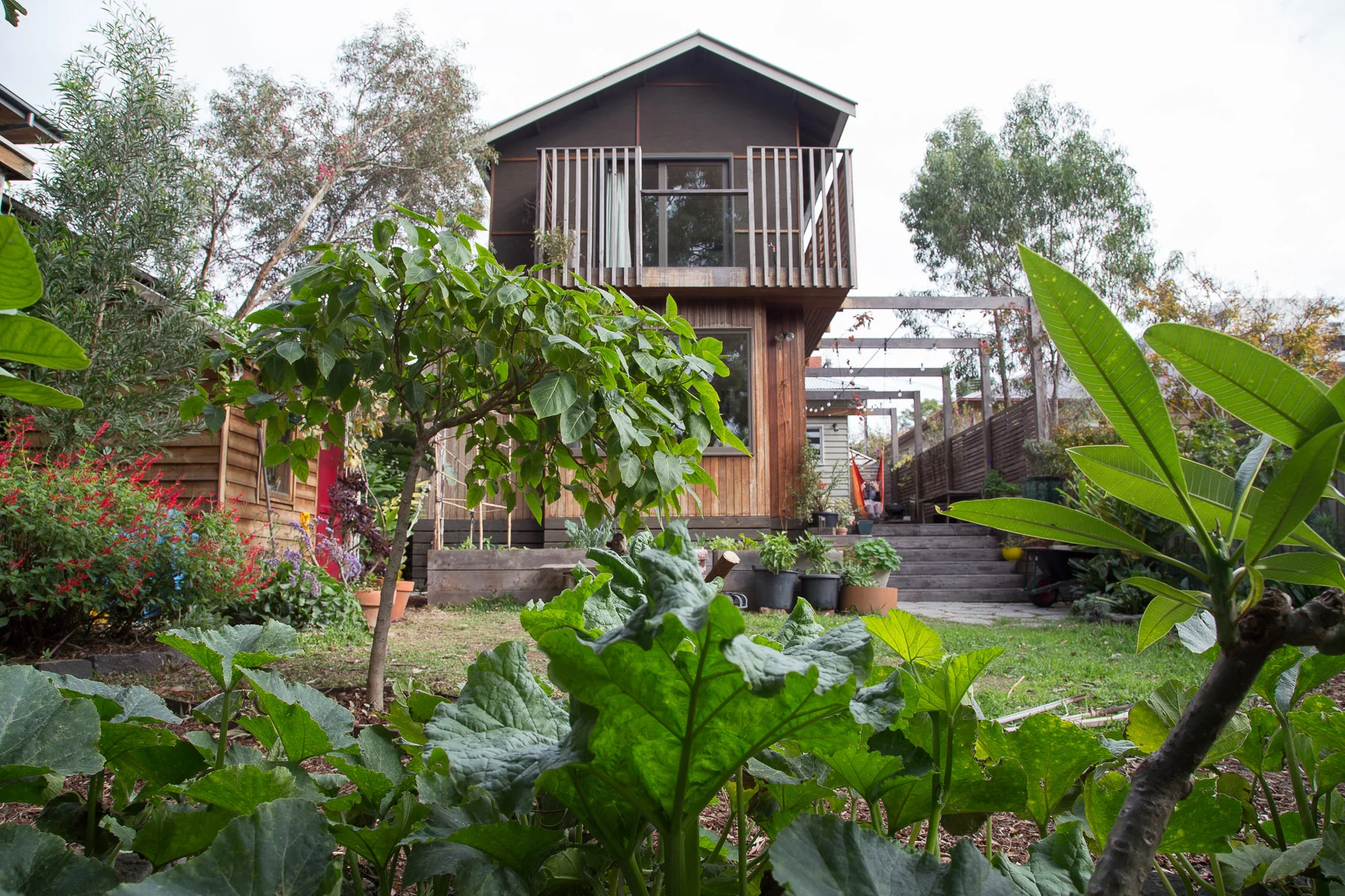 brave new eco sustainable interior design