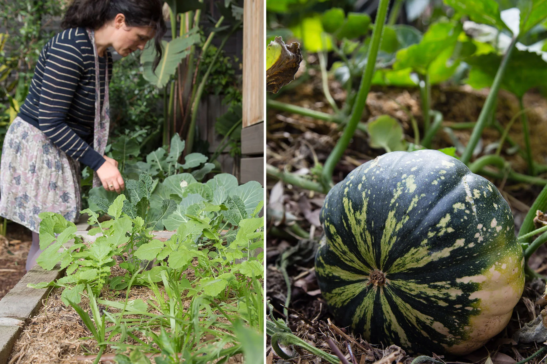 brave new eco sustainable interior design