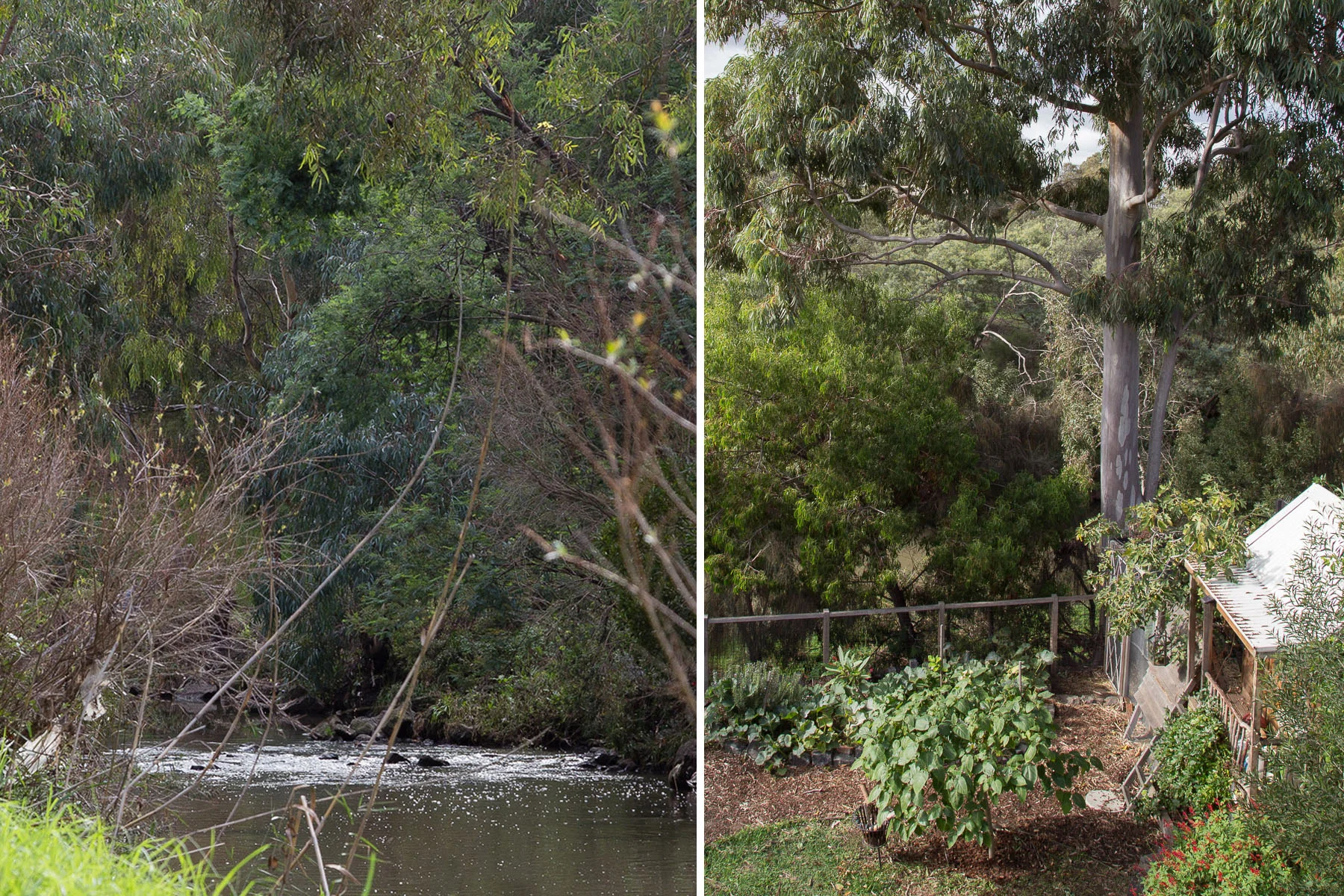 brave new eco sustainable interior design