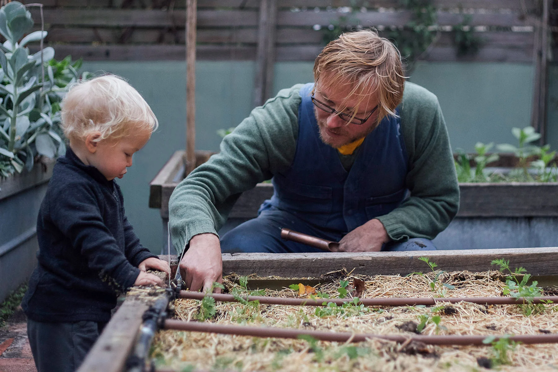 brave new eco sustainable landscape design