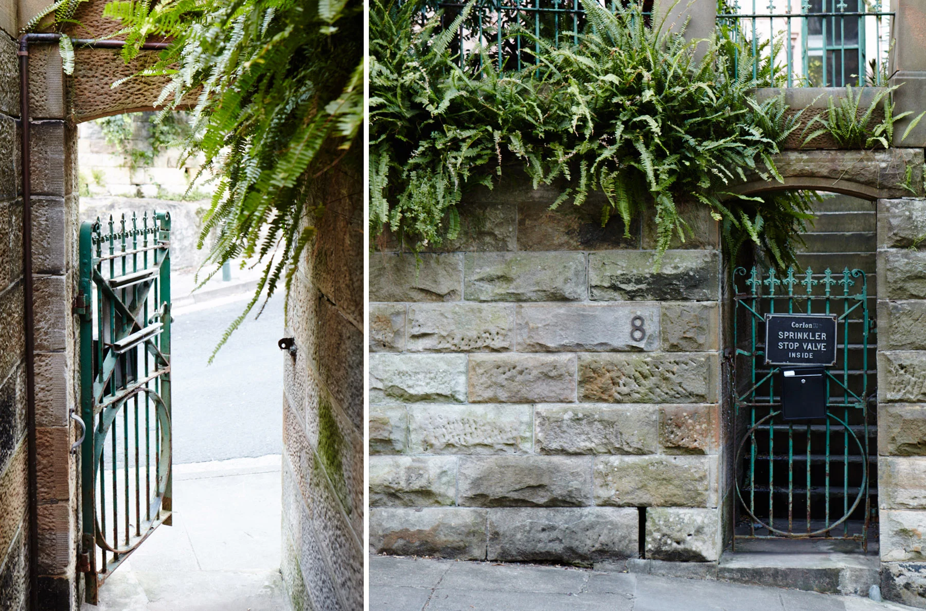 brave new eco styling