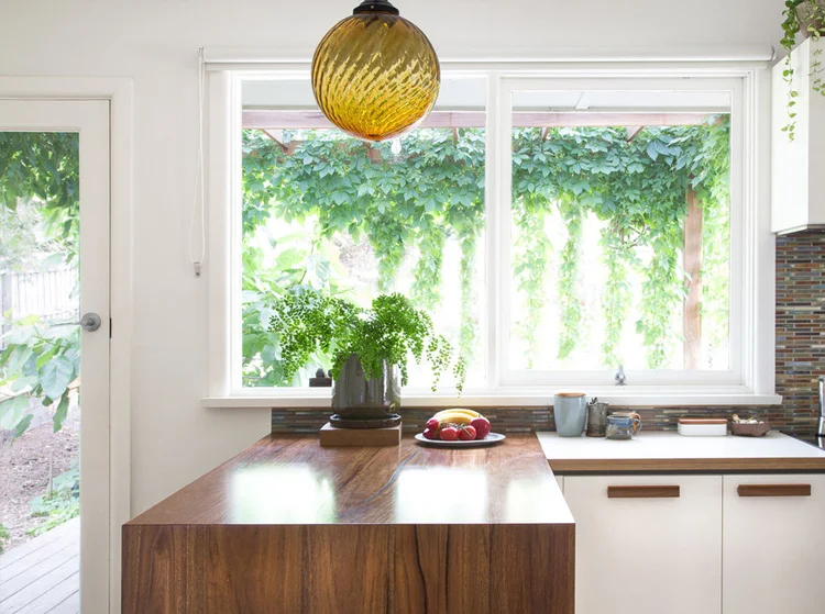 megan norgate brave new eco