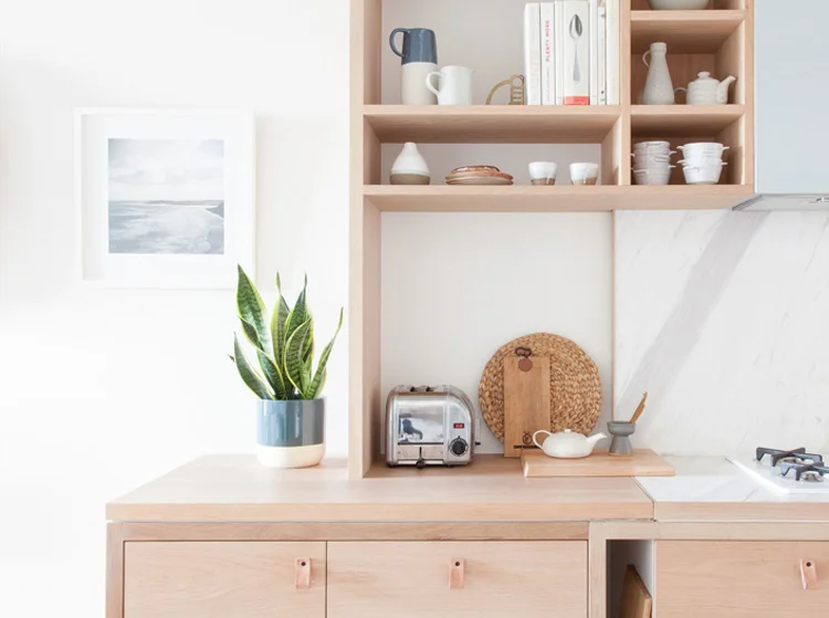 ROUSE ST APARTMENT  Personalising JOINERY + STORAGE PLUS PLANTSCAPING