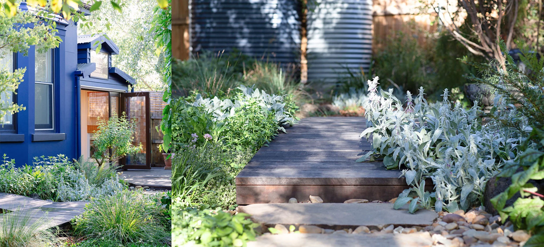 NORTHCOTE RAMBLER GARDEN