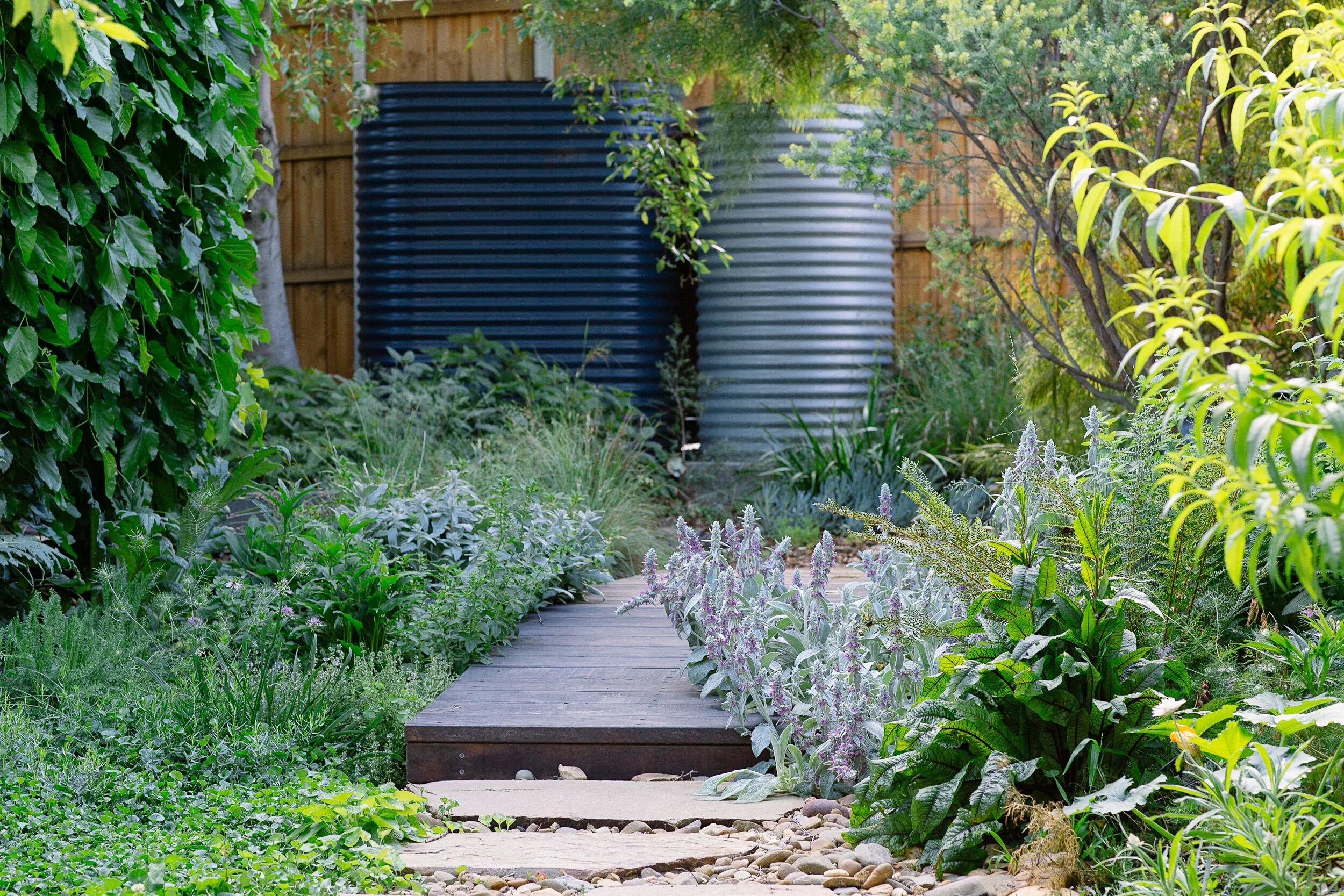 brave new eco sustainable landscape design