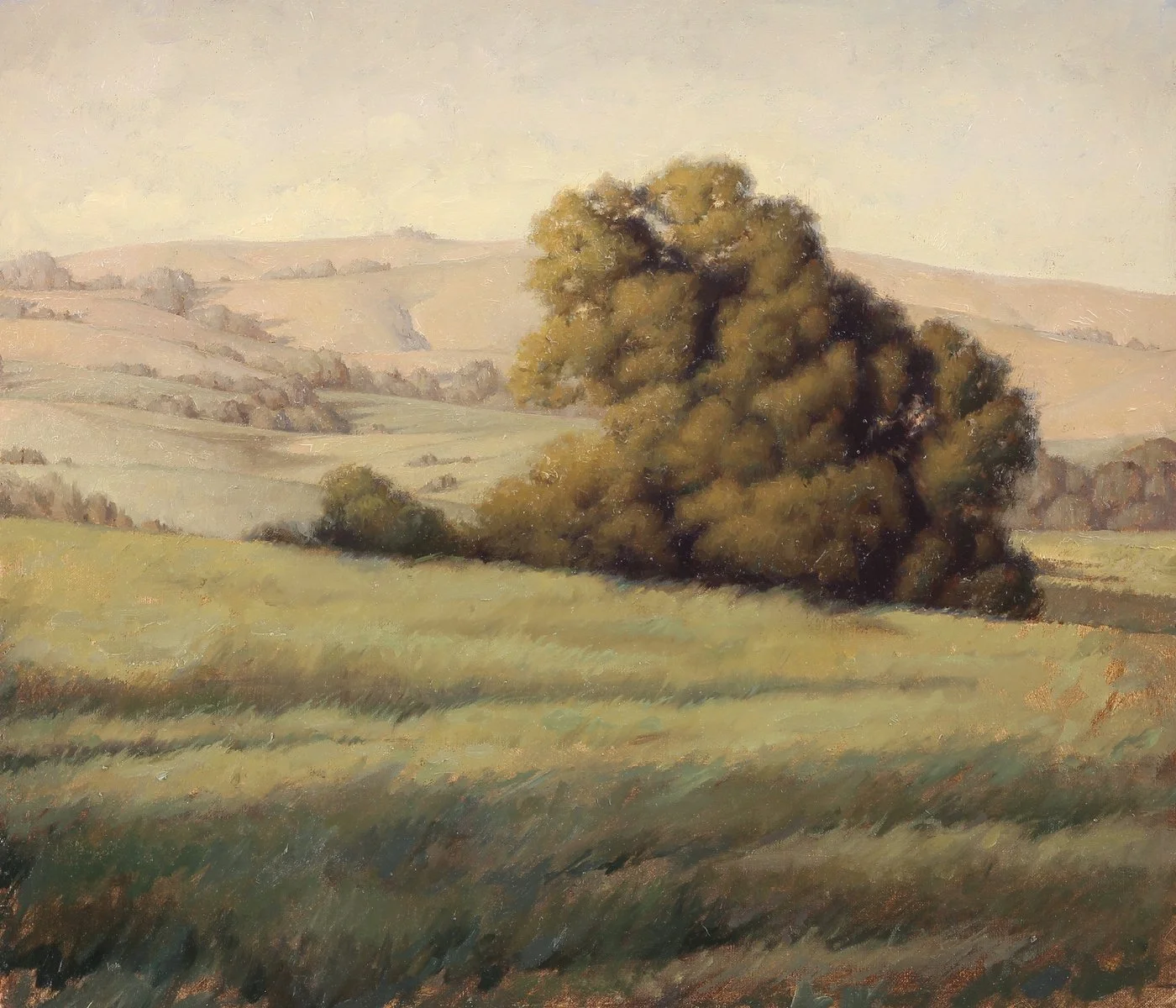 valley oak(1).jpg