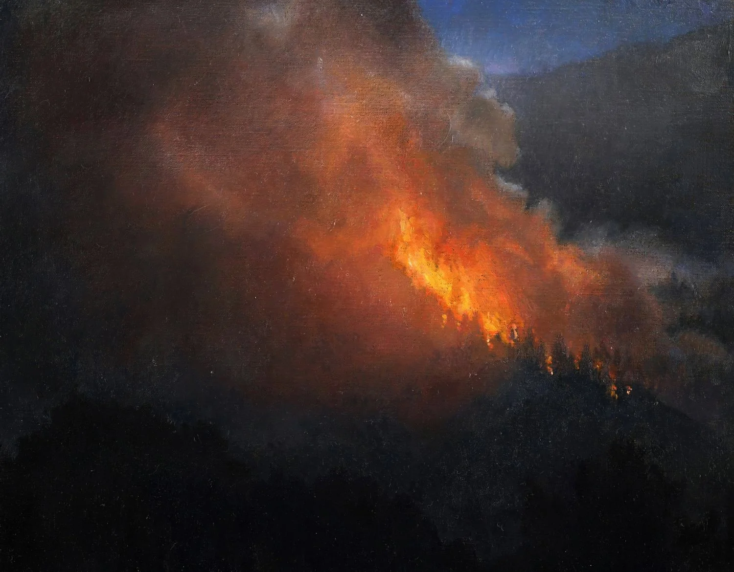 The Wildfire.jpg