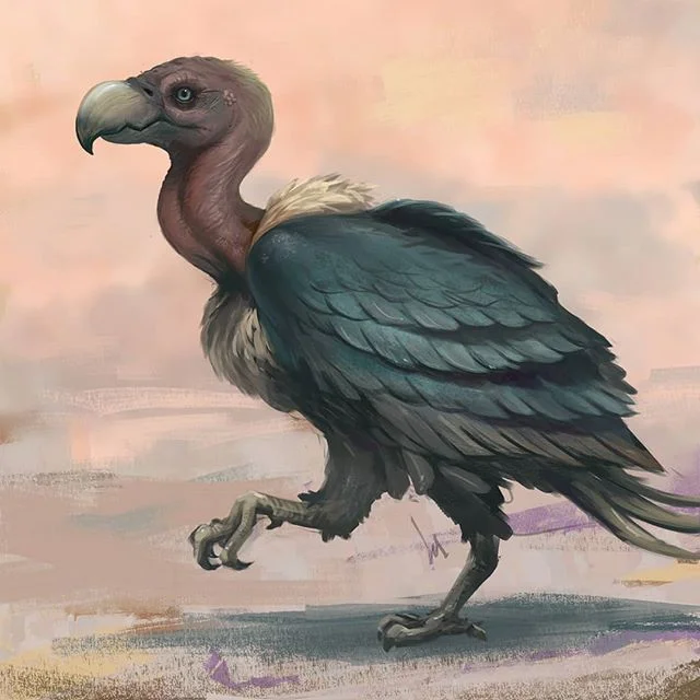 #raptor #vulture #photoshop #digitalpainting