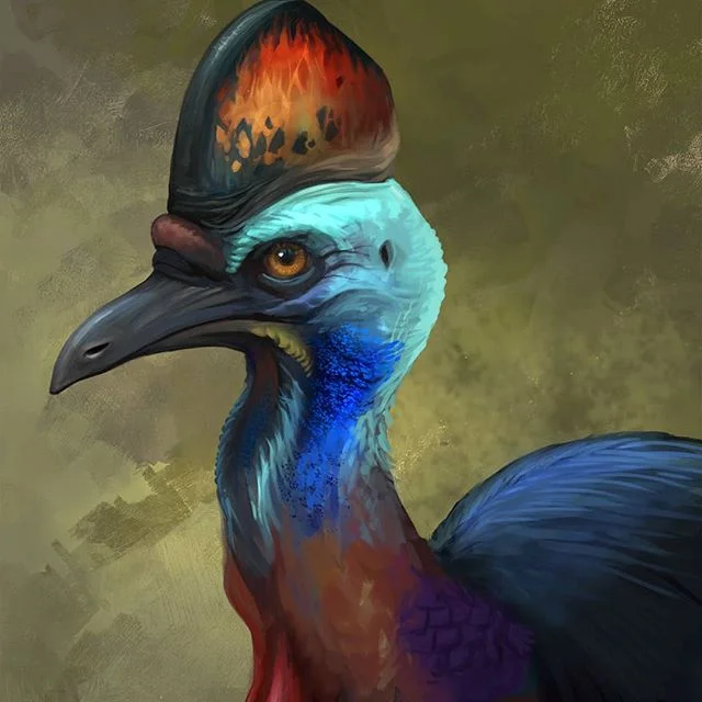 Another bird study 
#photoshop #digitalart #cassowary