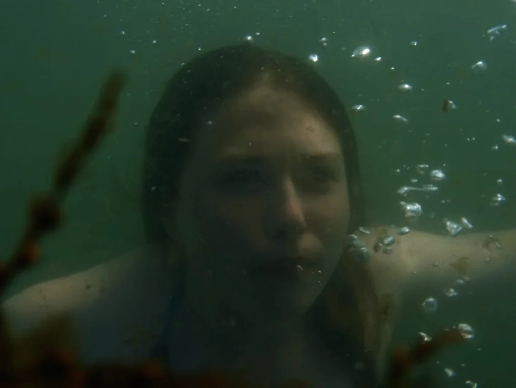 ALBATROSS_SCREENGRAB 1.jpg