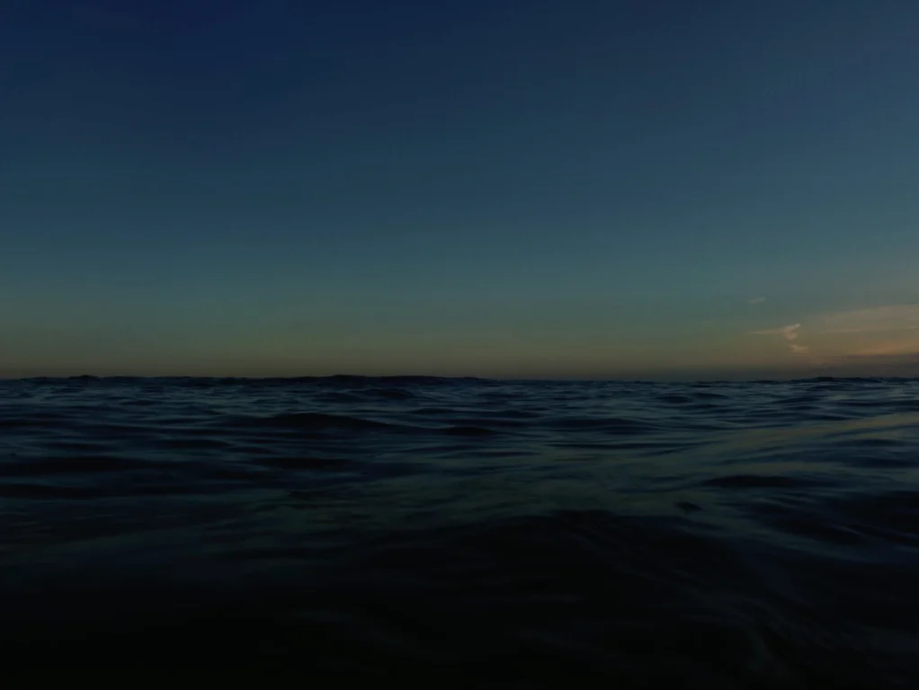 ALBATROSS_SCREENGRAB 2.jpg