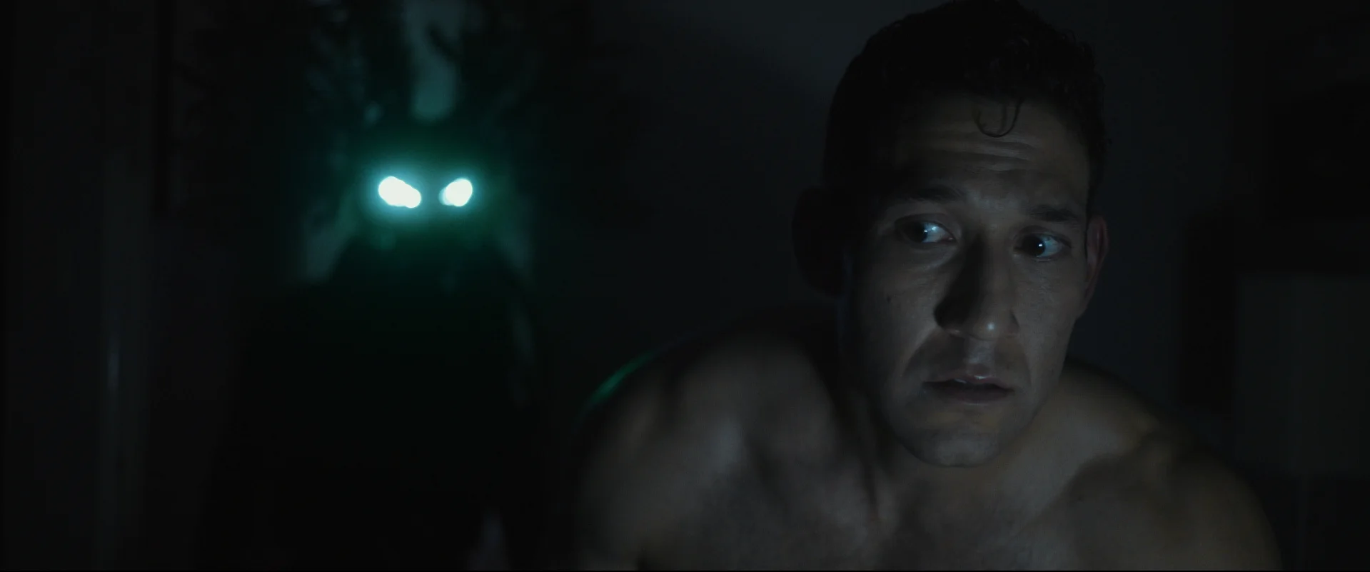 WMH_Stills 2.jpg