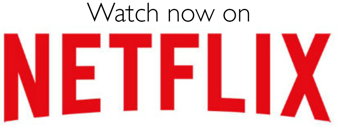 netflix-logo-new2-400x300jpg.jpg