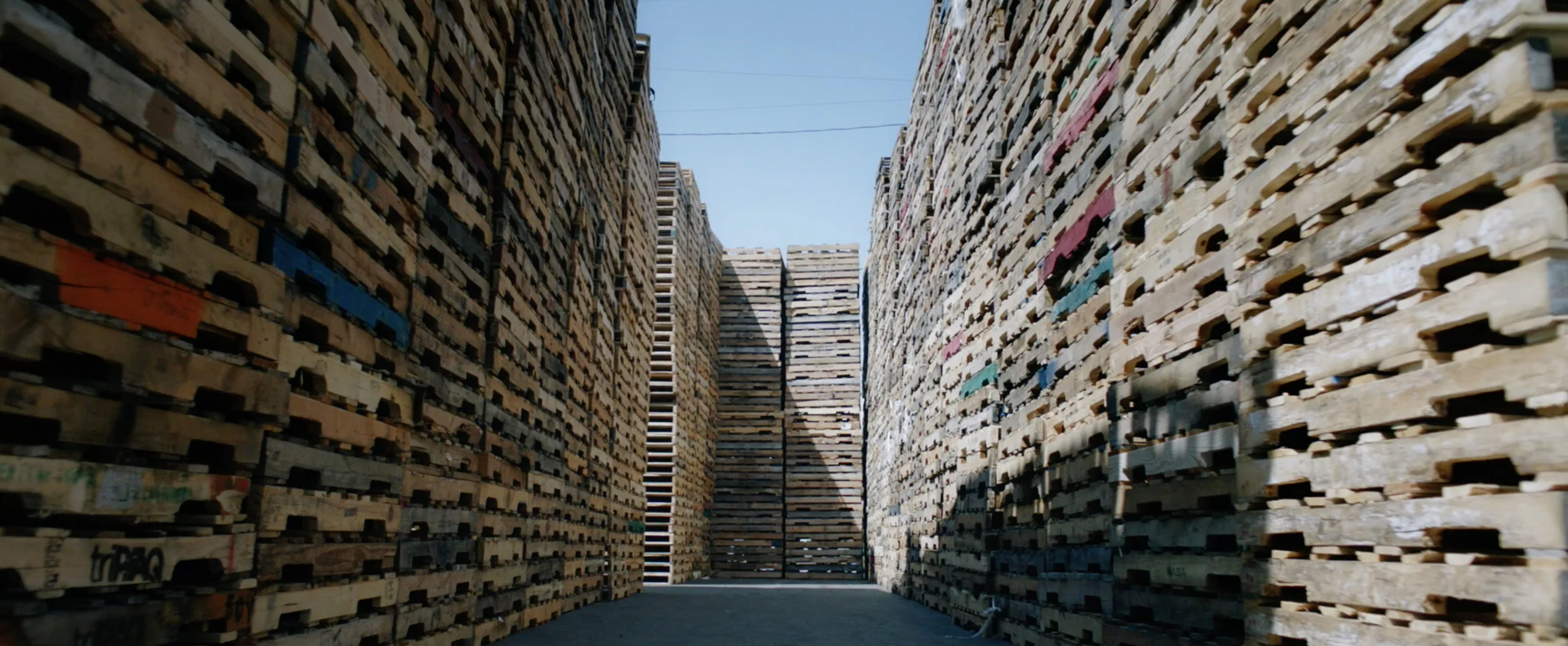 2SHS_Singularity 5.jpg