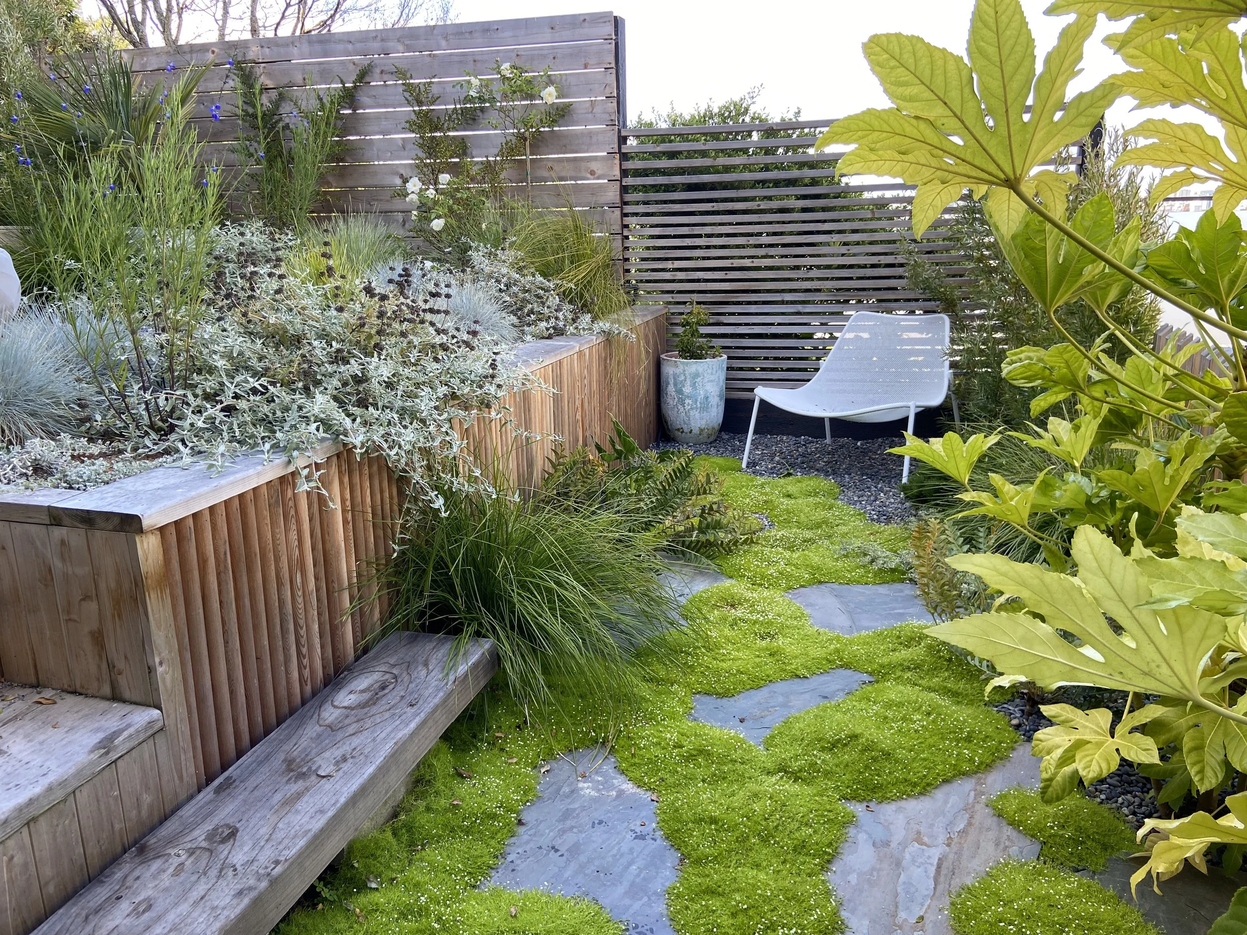 Small garden patio with a white bench, potted plants, lush green moss and foliage, and a wooden retaining wall with flowering plants.