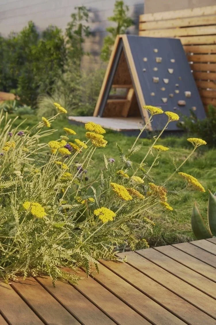 A garden with yellow wildflowers and a small wooden outdoor climbing structure in the background.