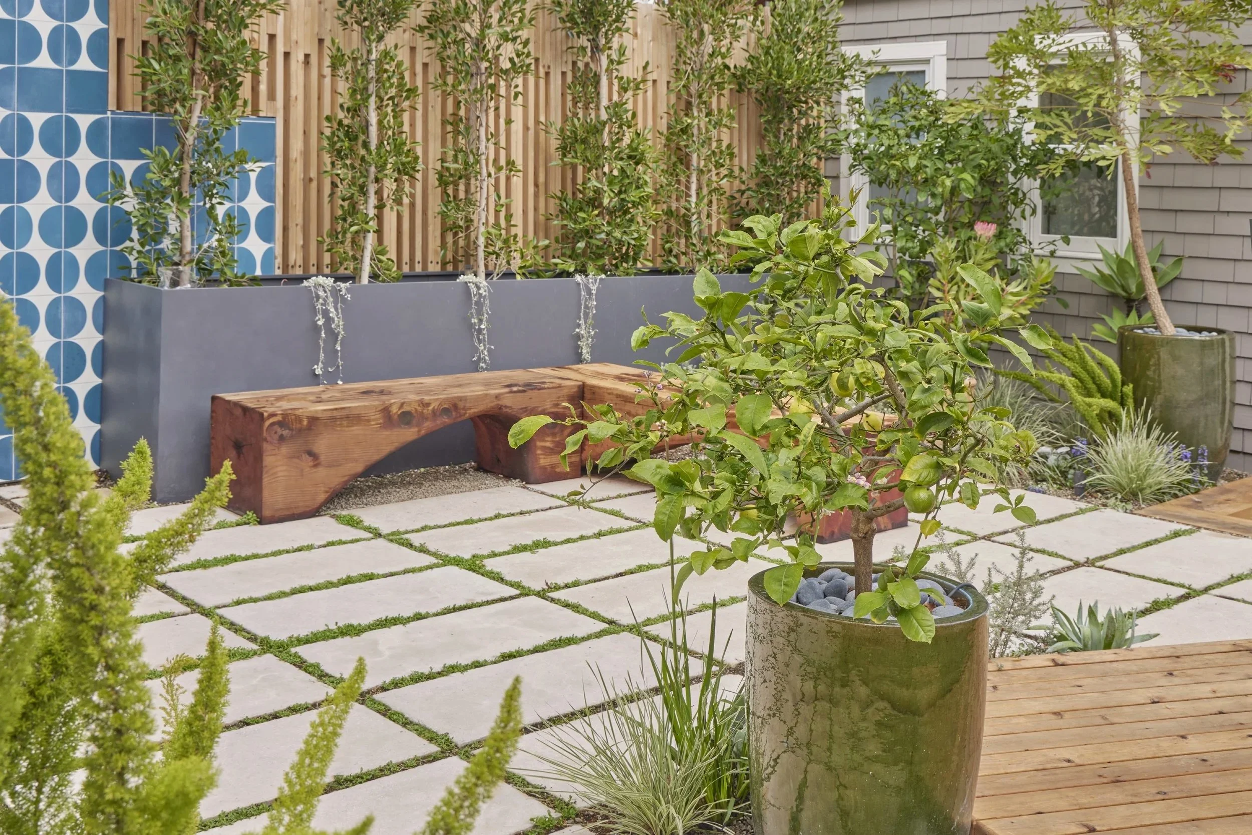 A small, modern backyard garden with potted plants, a wooden bench, a gray planter with trees, and a tiled wall with blue and white circles.