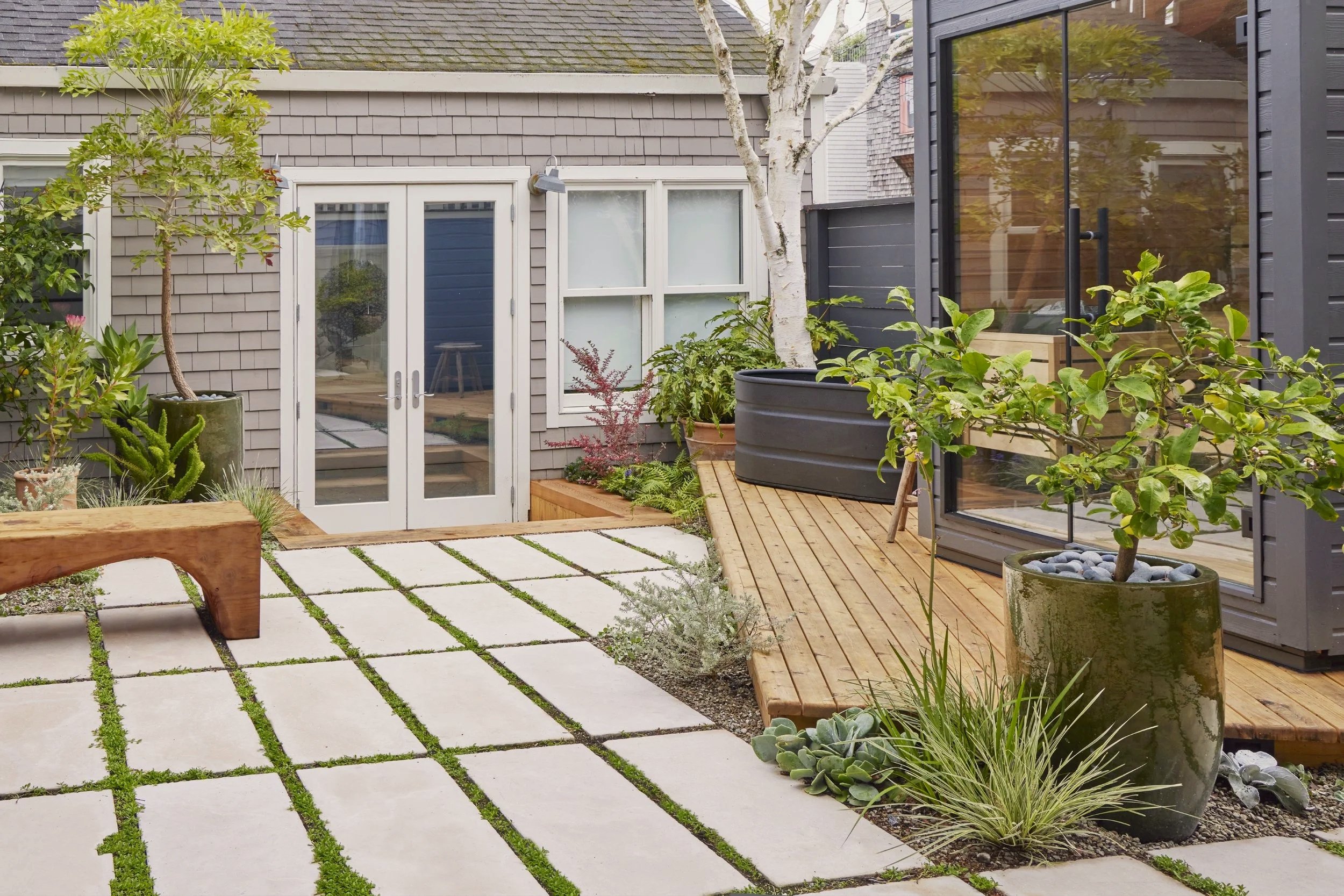 A modern backyard patio with large white stone pavers and grass between them, a wooden deck with potted plants, including small trees, succulents, and greenery, and a gray house with glass doors and windows.