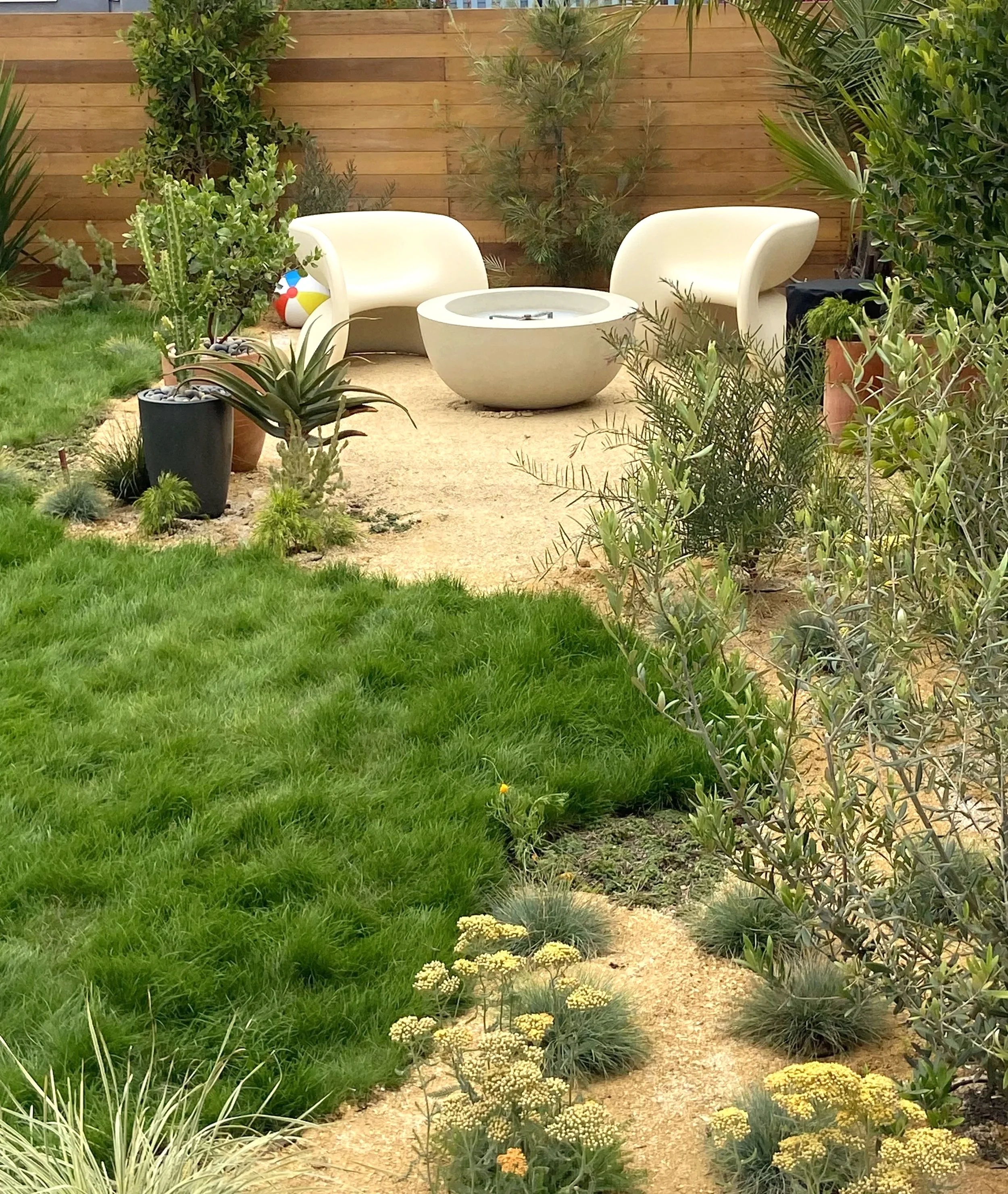 A small backyard garden with green grass, various potted plants, and desert plants. There are two white modern chairs and a white round firepit in the center, with a wooden fence in the background and some trees and shrubs surrounding the area.