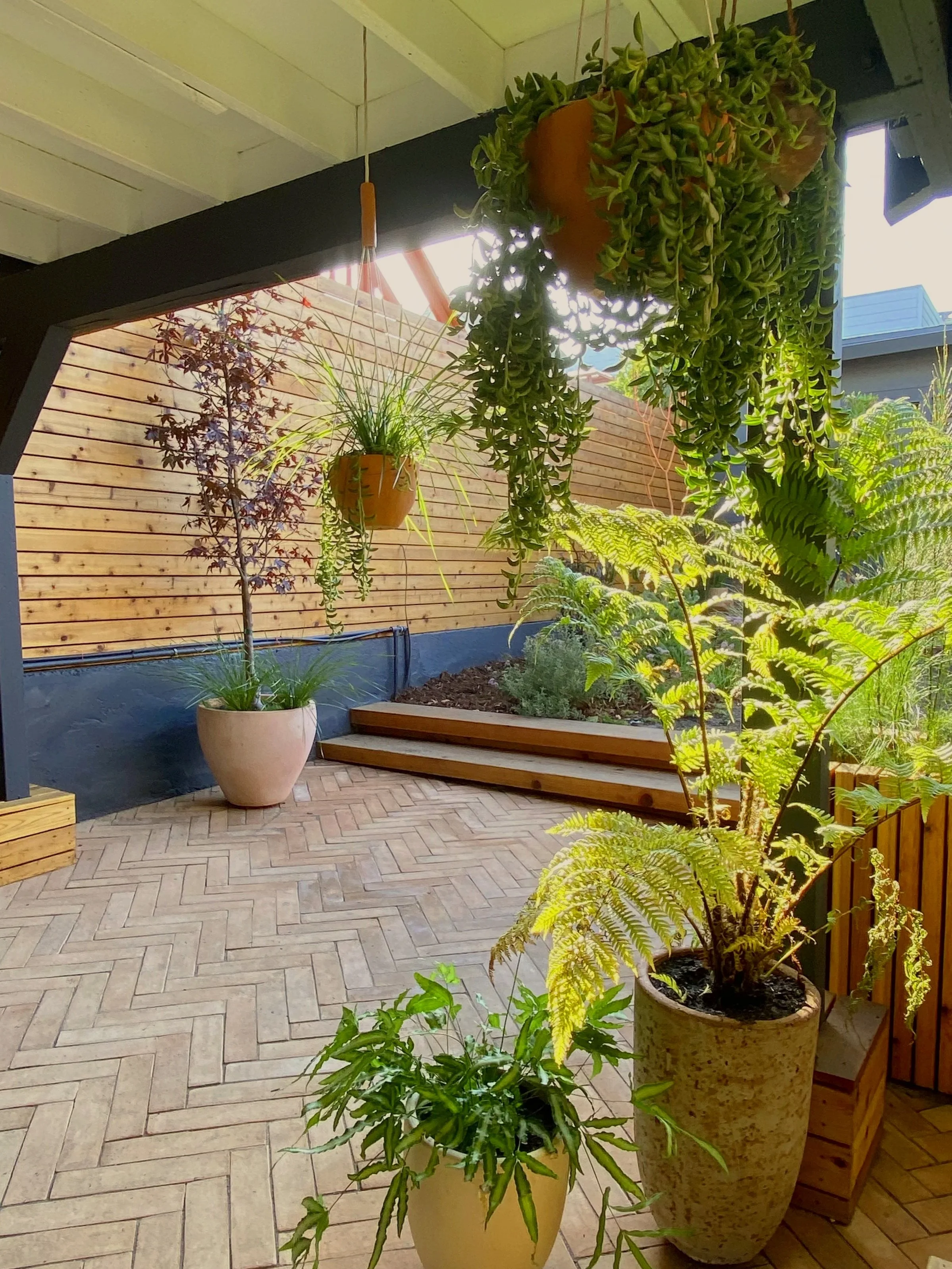 Patio with large potted plants and hanging planters, wooden stairs, wooden privacy fence, and leafy greenery.
