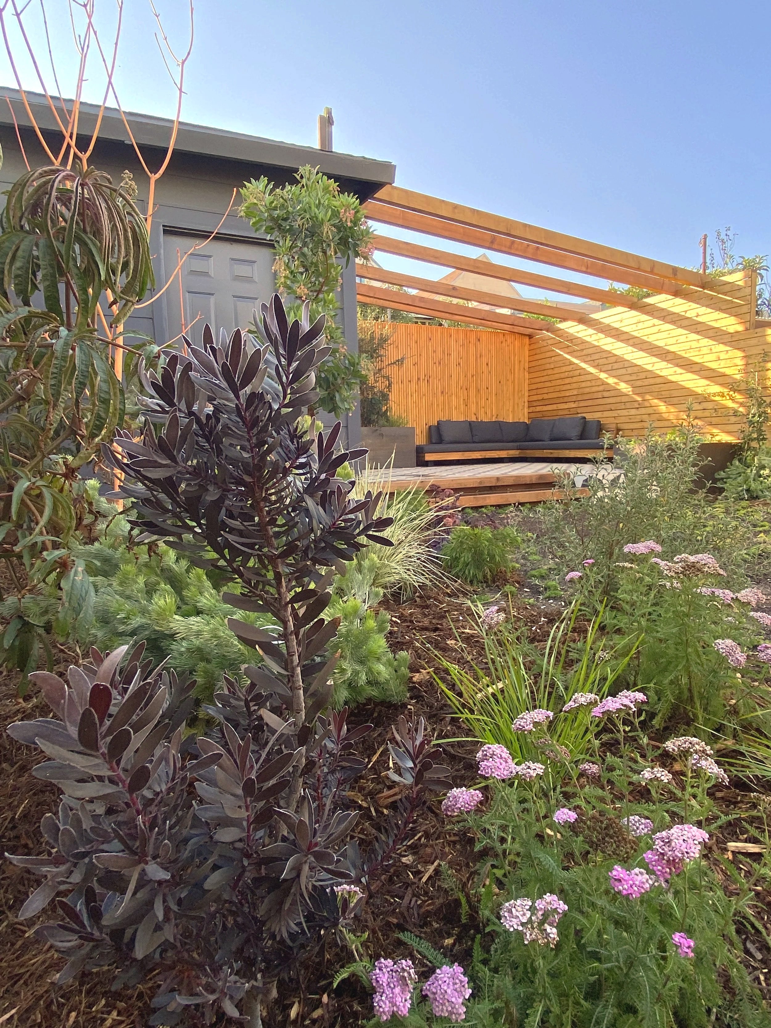 A backyard garden with purple flowers, green plants, and a shaded outdoor seating area with wooden structure.