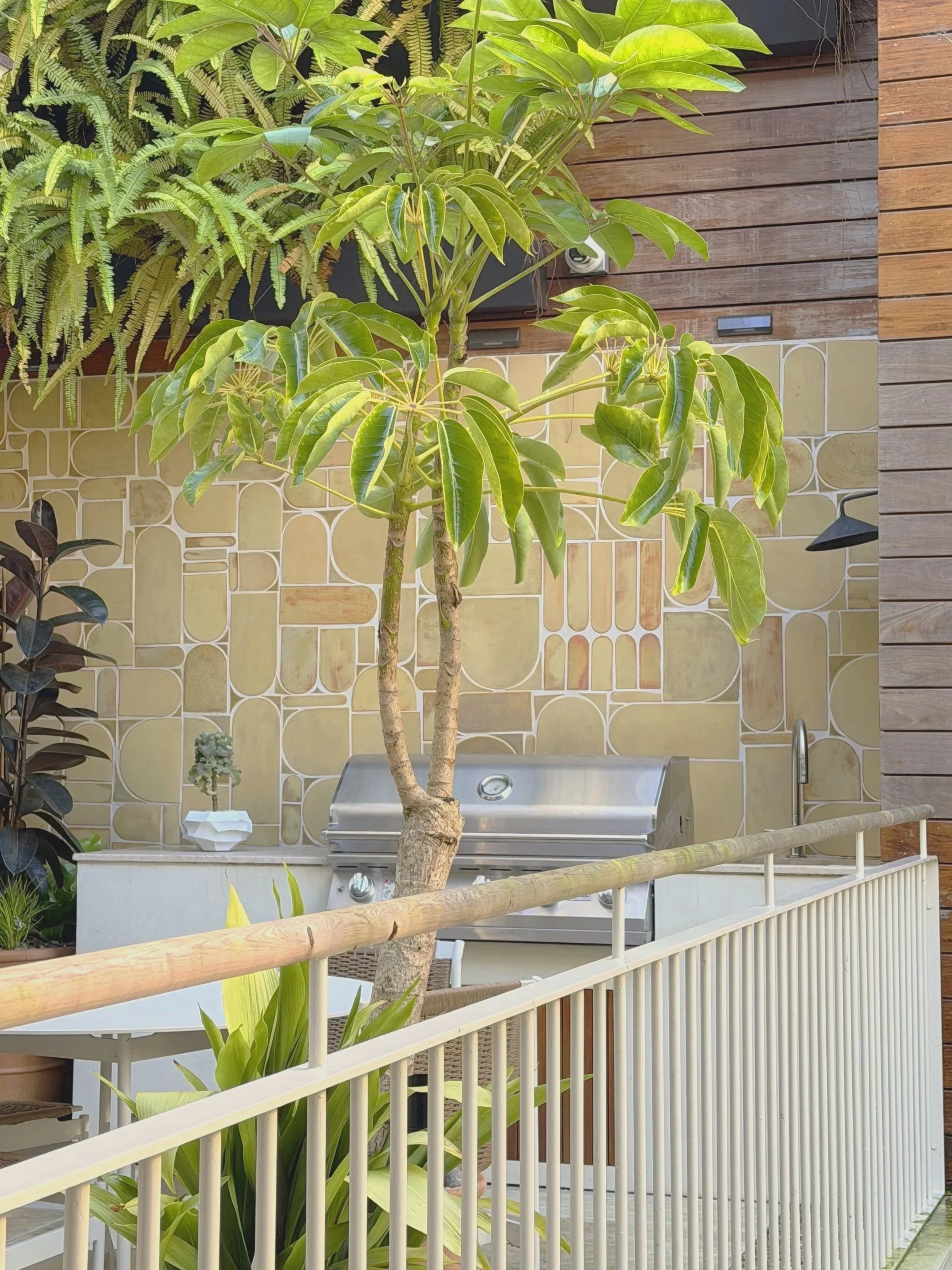 Backyard patio with a tree, potted plants, a stainless steel grill, a faucet, decorative tiles on the wall, and wooden paneling.
