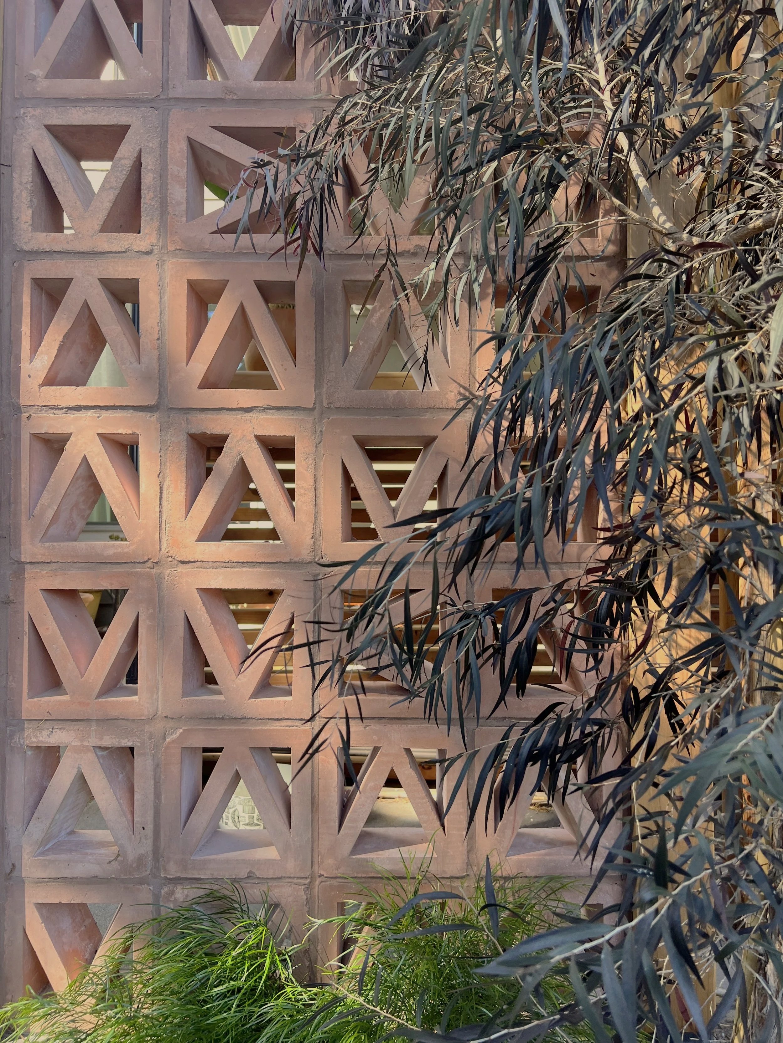 Concrete perforated brick wall with a plant with green and dark leaves in front of it.