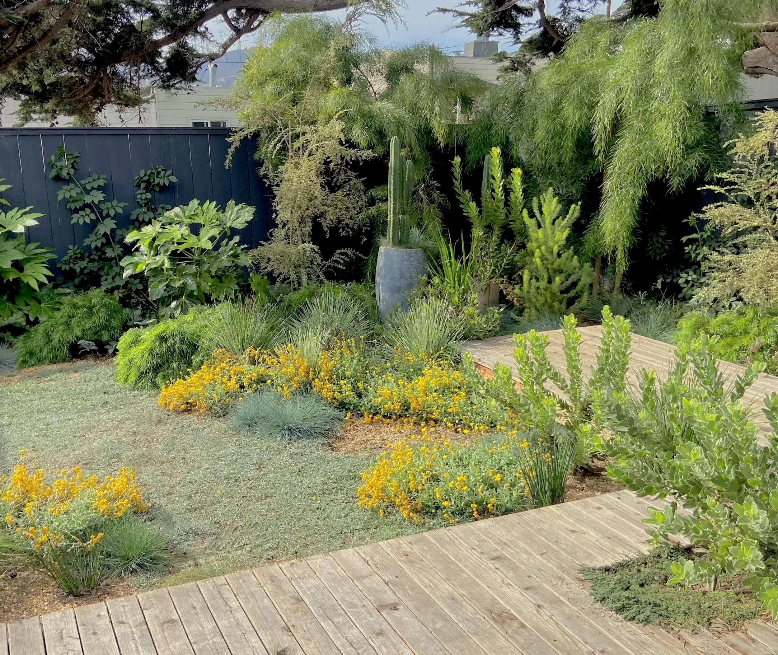 A lush garden with a variety of green plants, including a large cactus in a gray pot, shrubs, and trees, surrounded by a wooden walkway and a black fence in the background.