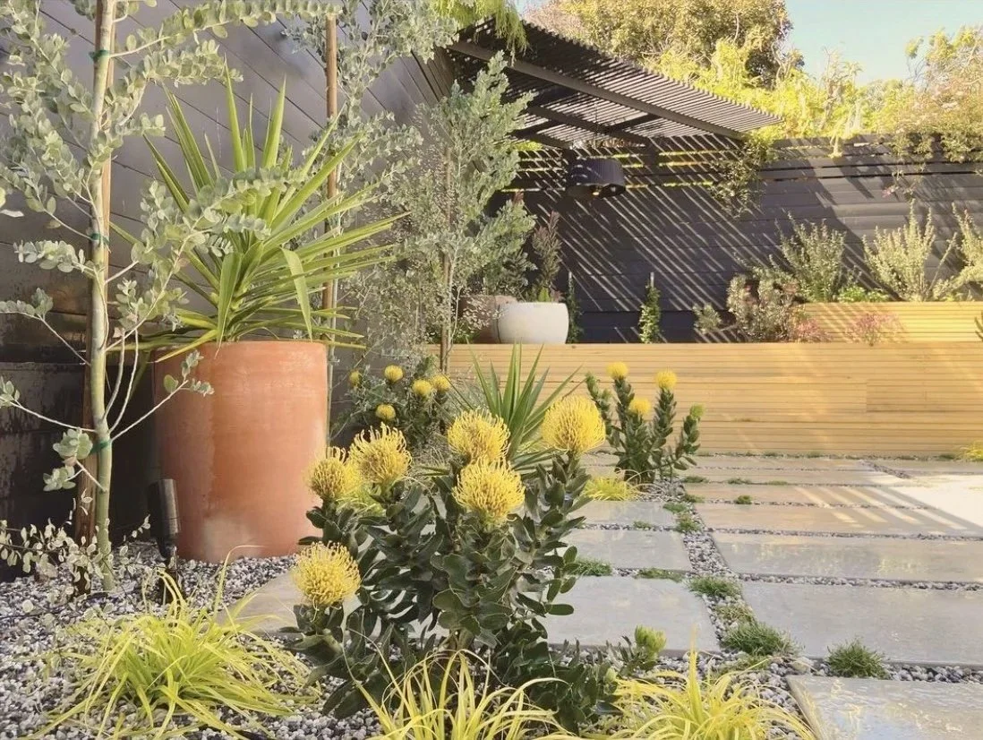 Single day Garden Glow Up