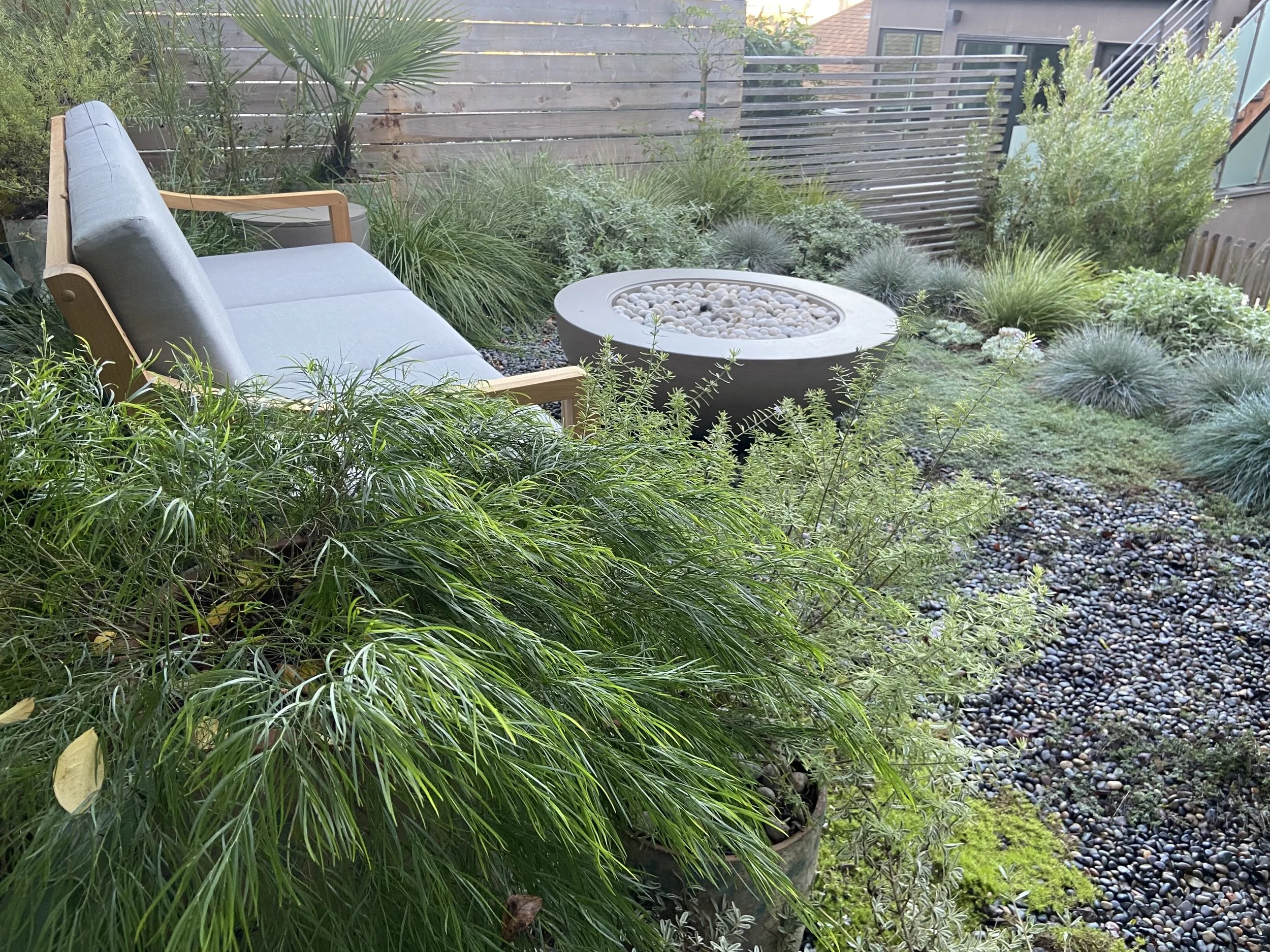 A small outdoor garden patio with a blue cushioned bench, a circular concrete fire pit with rocks inside, various green plants, bushes, and small trees, surrounded by a wooden fence and a building with glass stair railings.