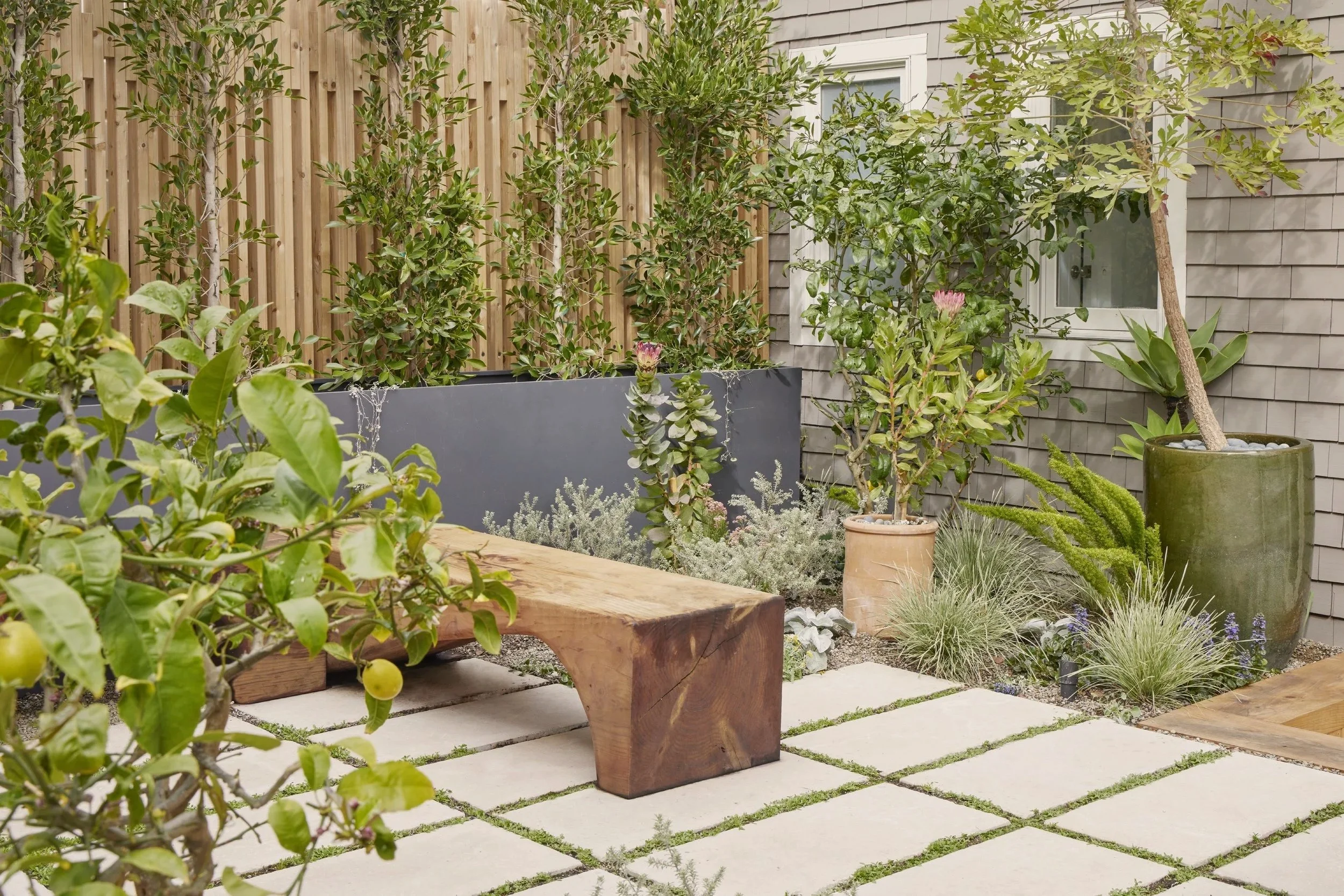 A small backyard garden with a wooden bench, potted plants, greenery, and a wooden fence along a house wall.