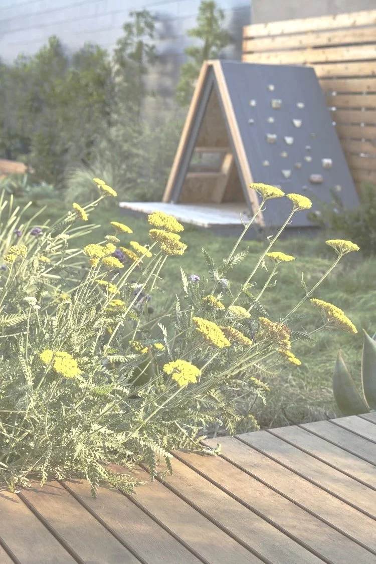Yellow flowering plants in the foreground with a wooden table in front, and a small A-frame climbing wall in the background. The scene is outdoors with greenery and a wooden fence.