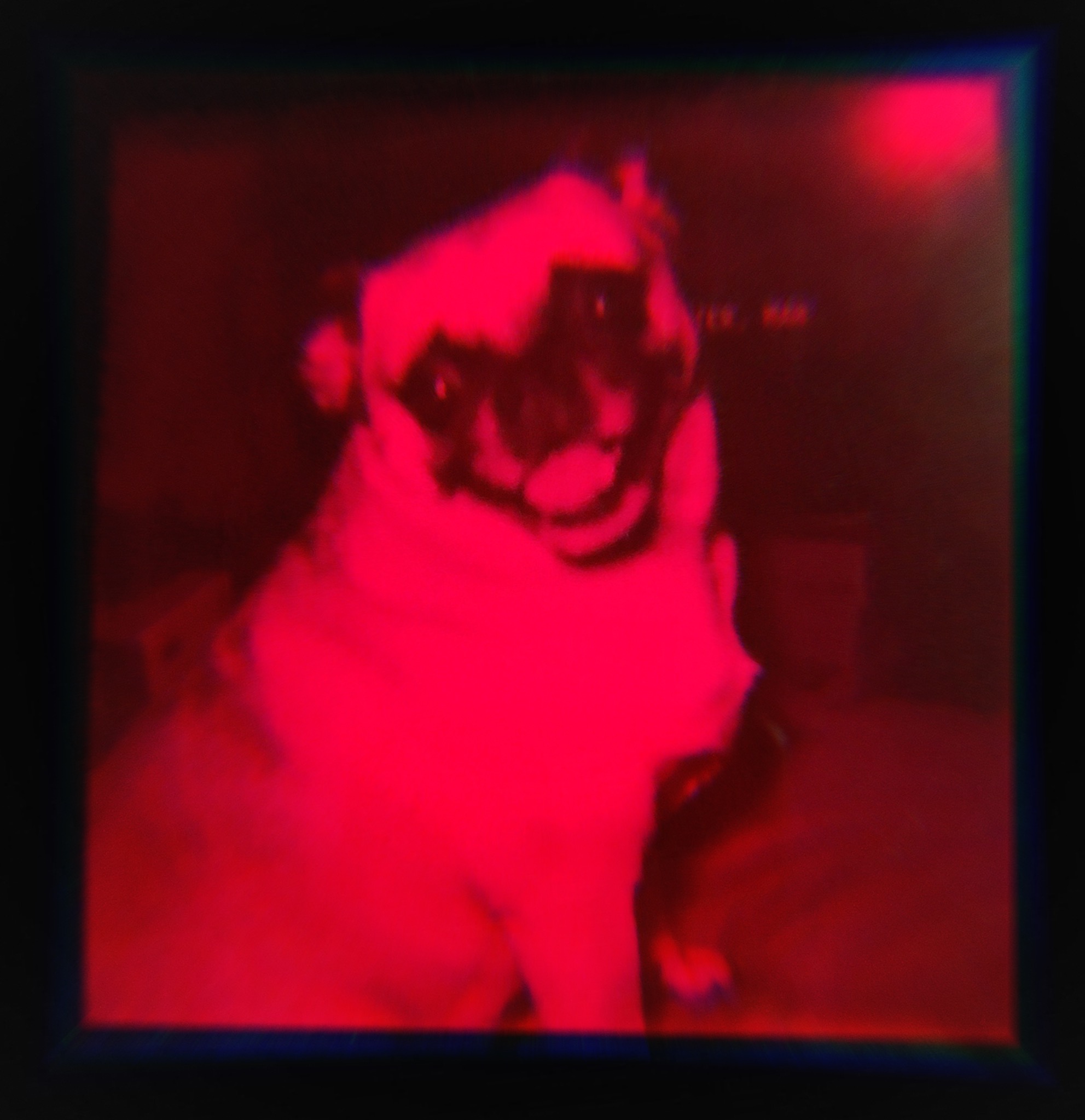 DB4A068A-E562-4ADE-8E27-169B9E06D456.jpeg