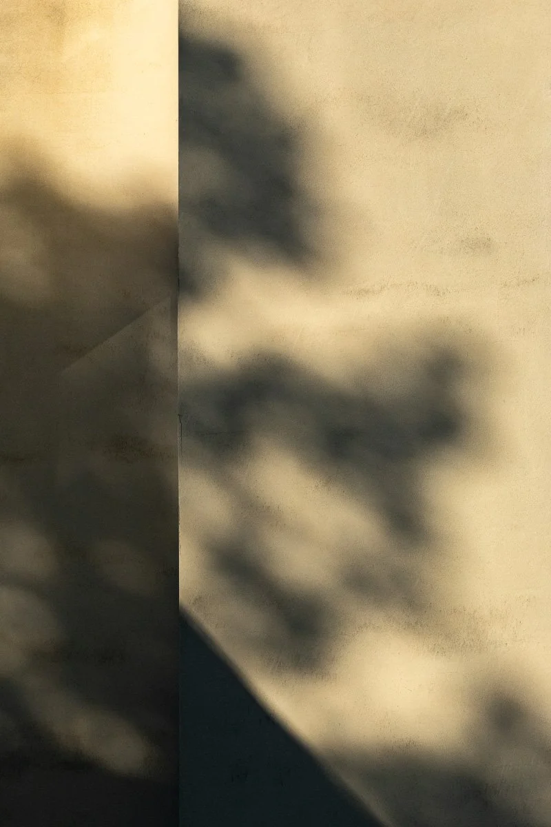 A fleeting glimpse — Maarten Rots