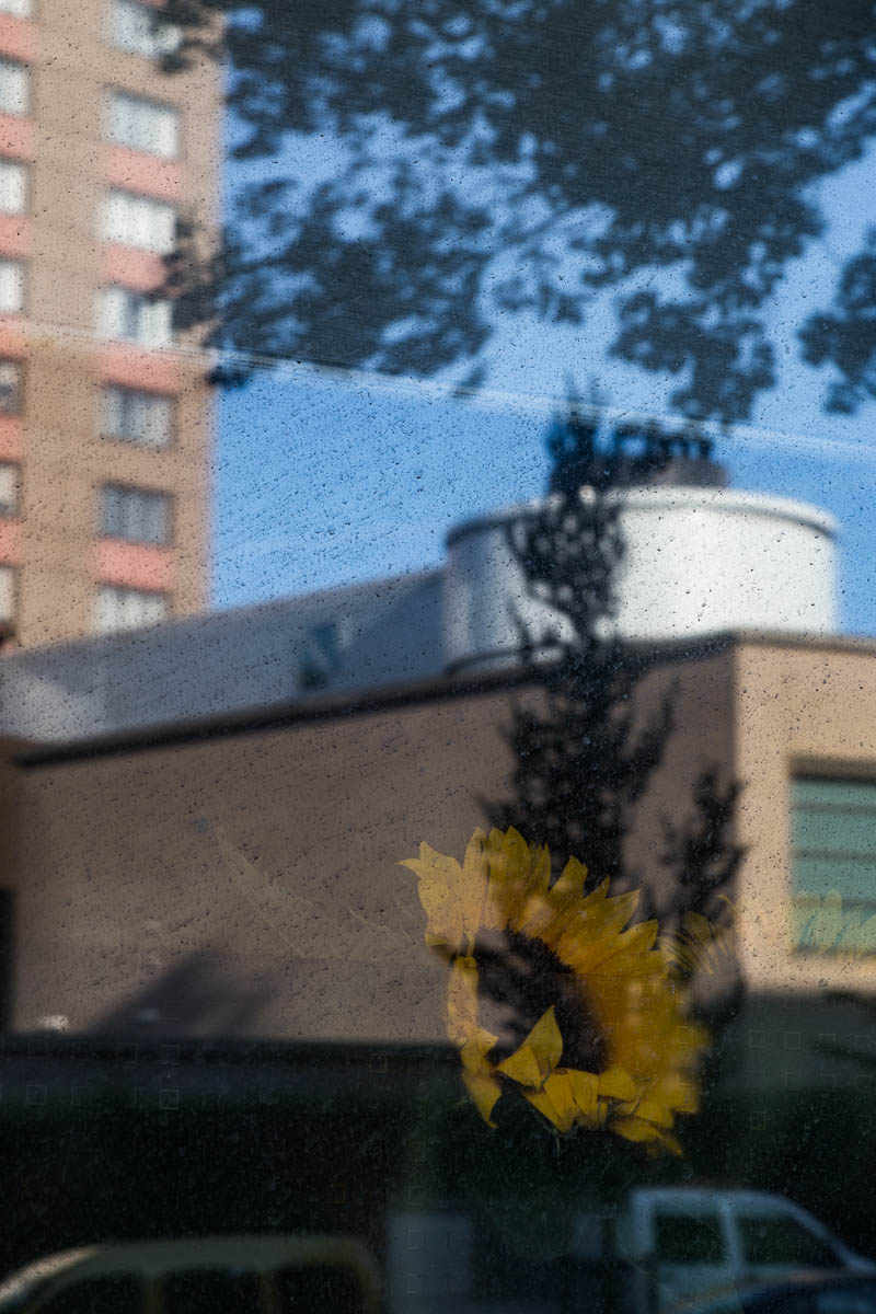 maarten-rots-siting-qlick-editions-day6-20.jpg