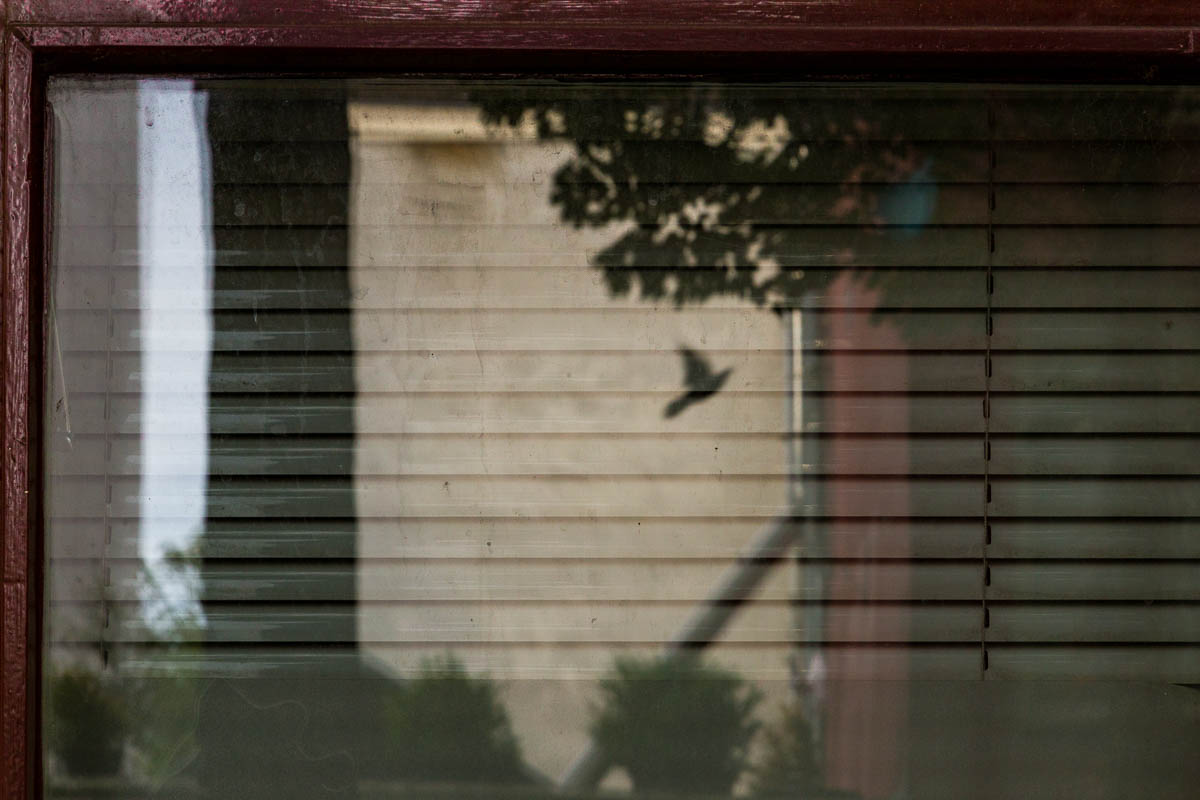 maarten-rots-siting-qlick-editions-day7-07.jpg